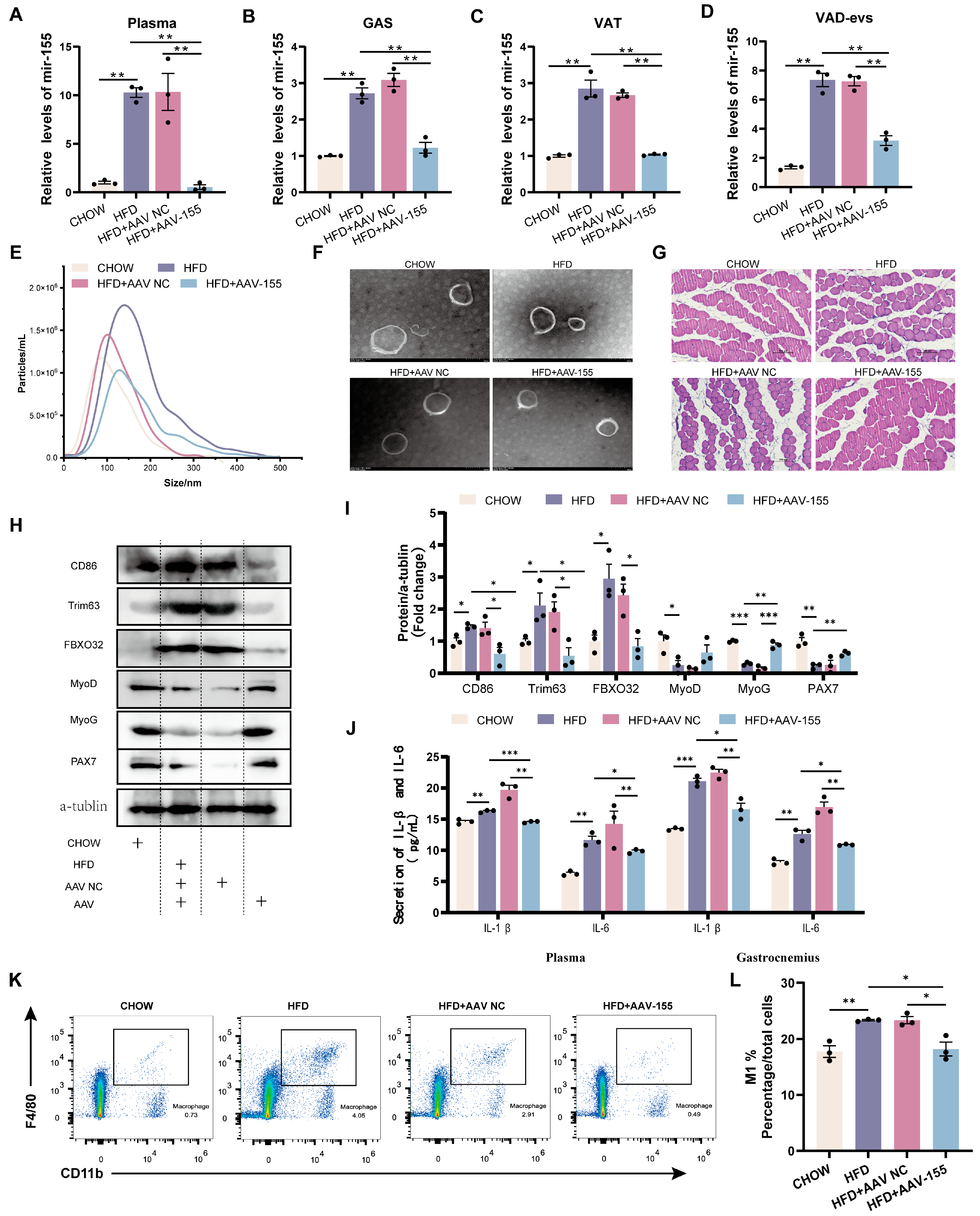 Cells 14 01302 g005 Cells 14 01302 g005