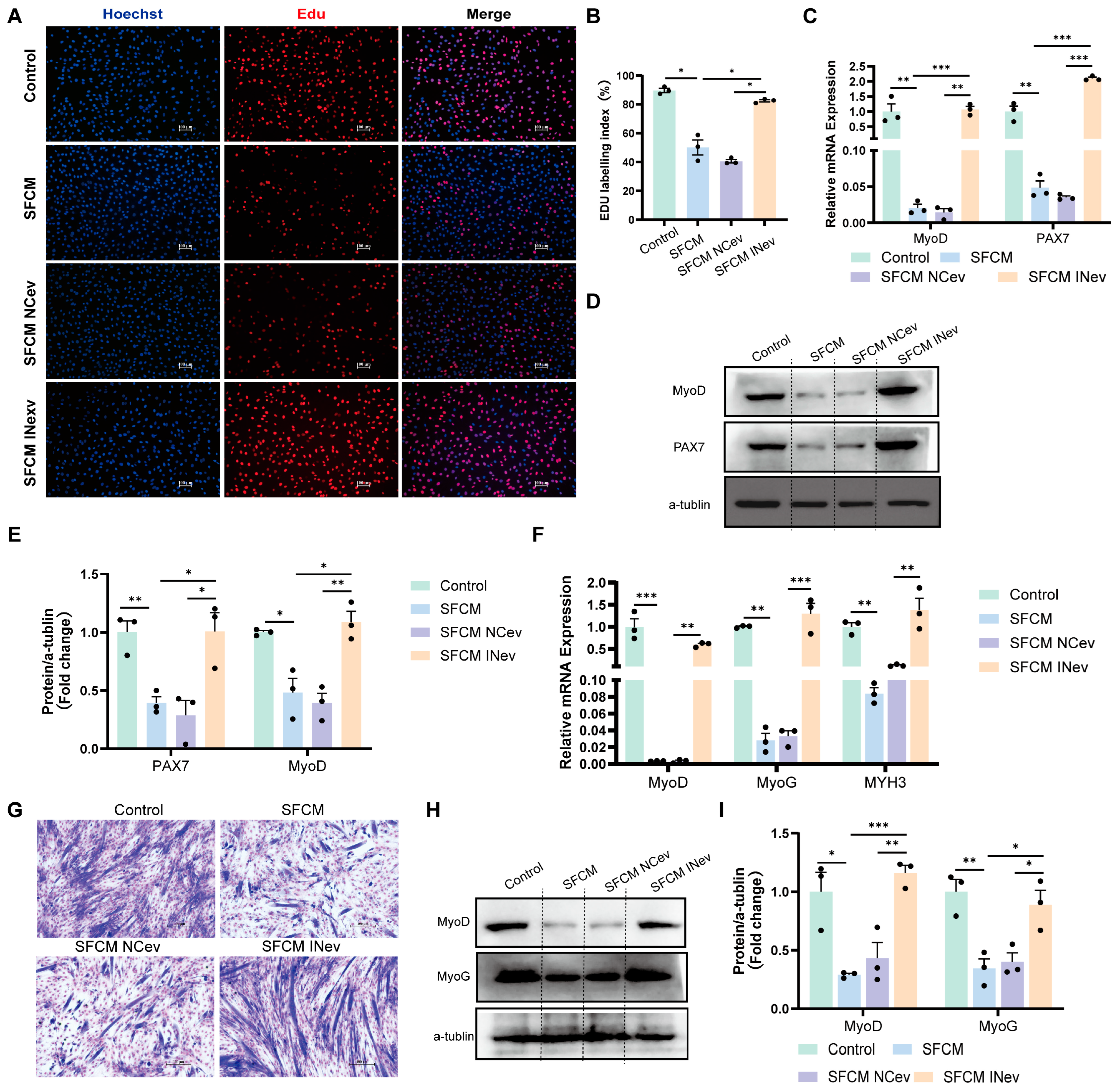 Cells 14 01302 g006 Cells 14 01302 g006