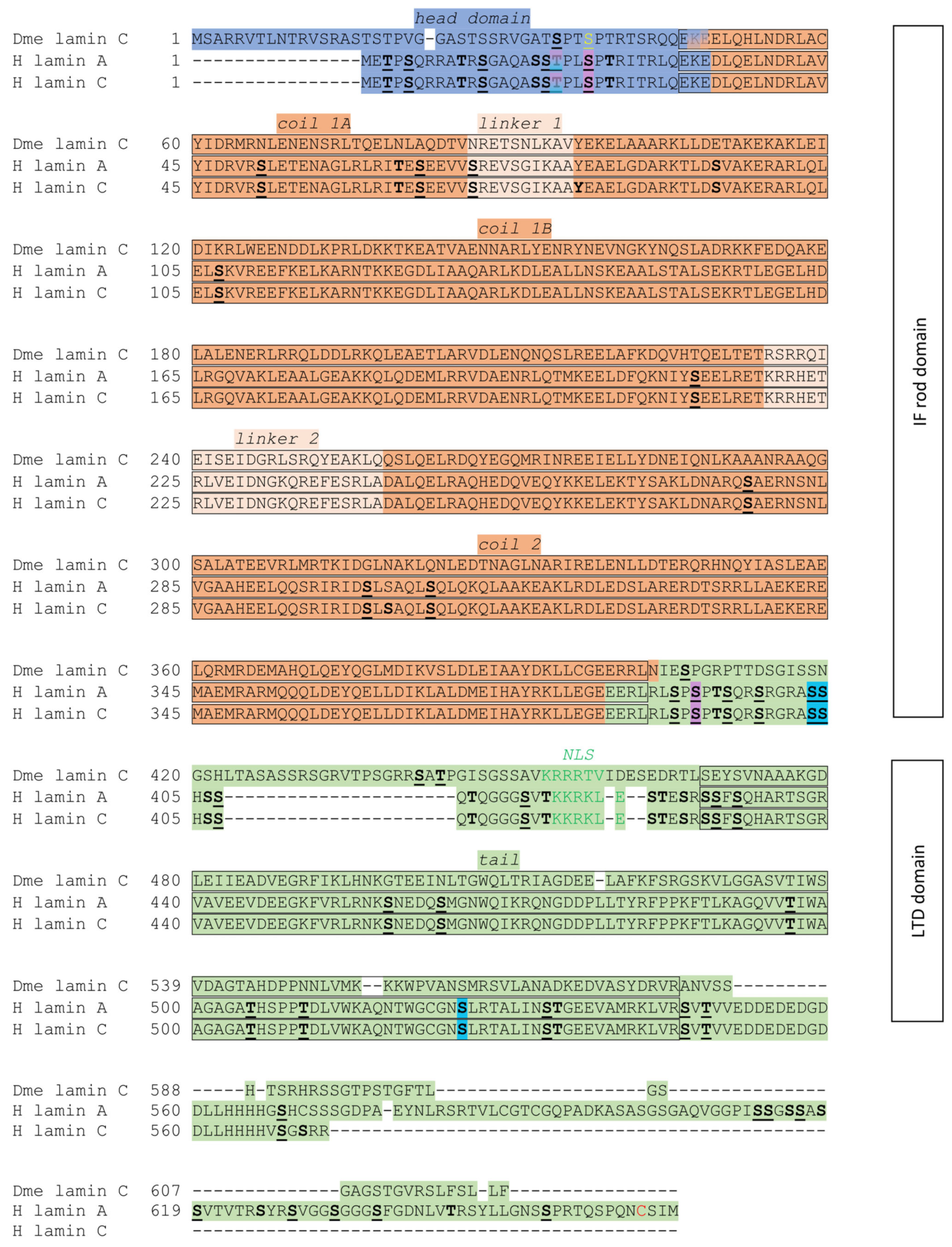 Cells 14 01303 g002 Cells 14 01303 g002