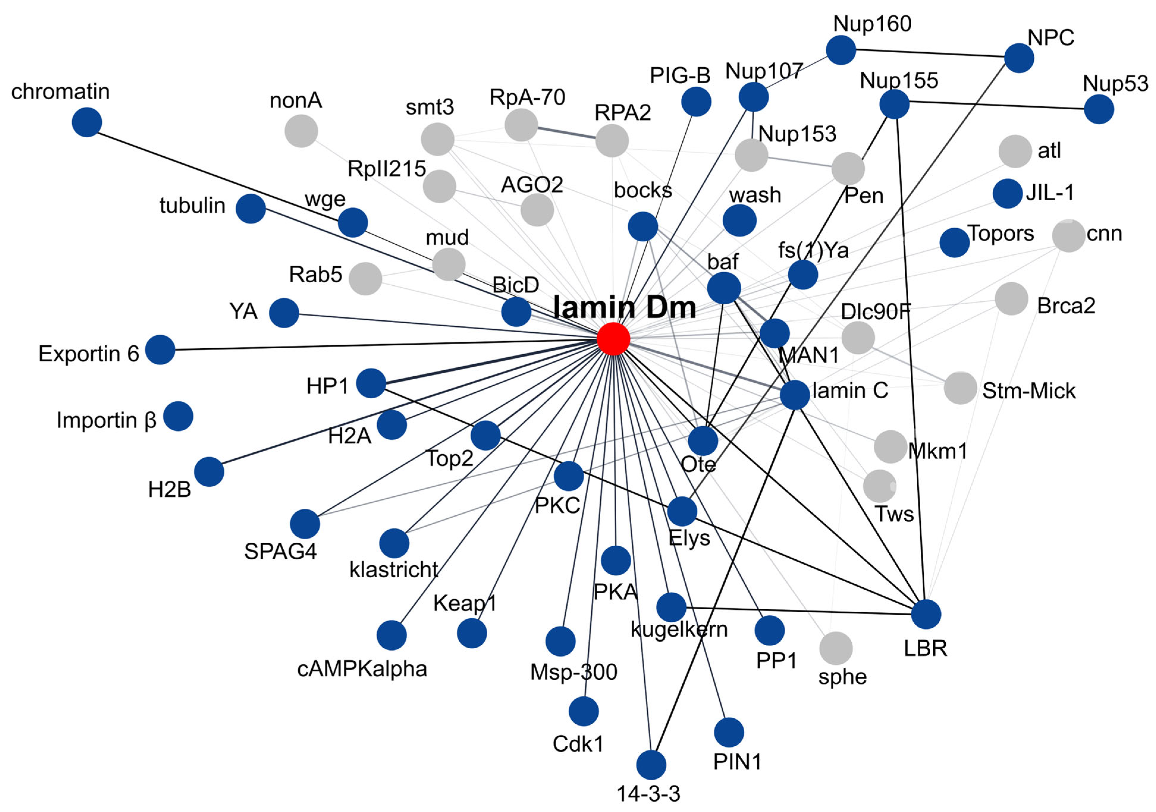 Cells 14 01303 g003 Cells 14 01303 g003