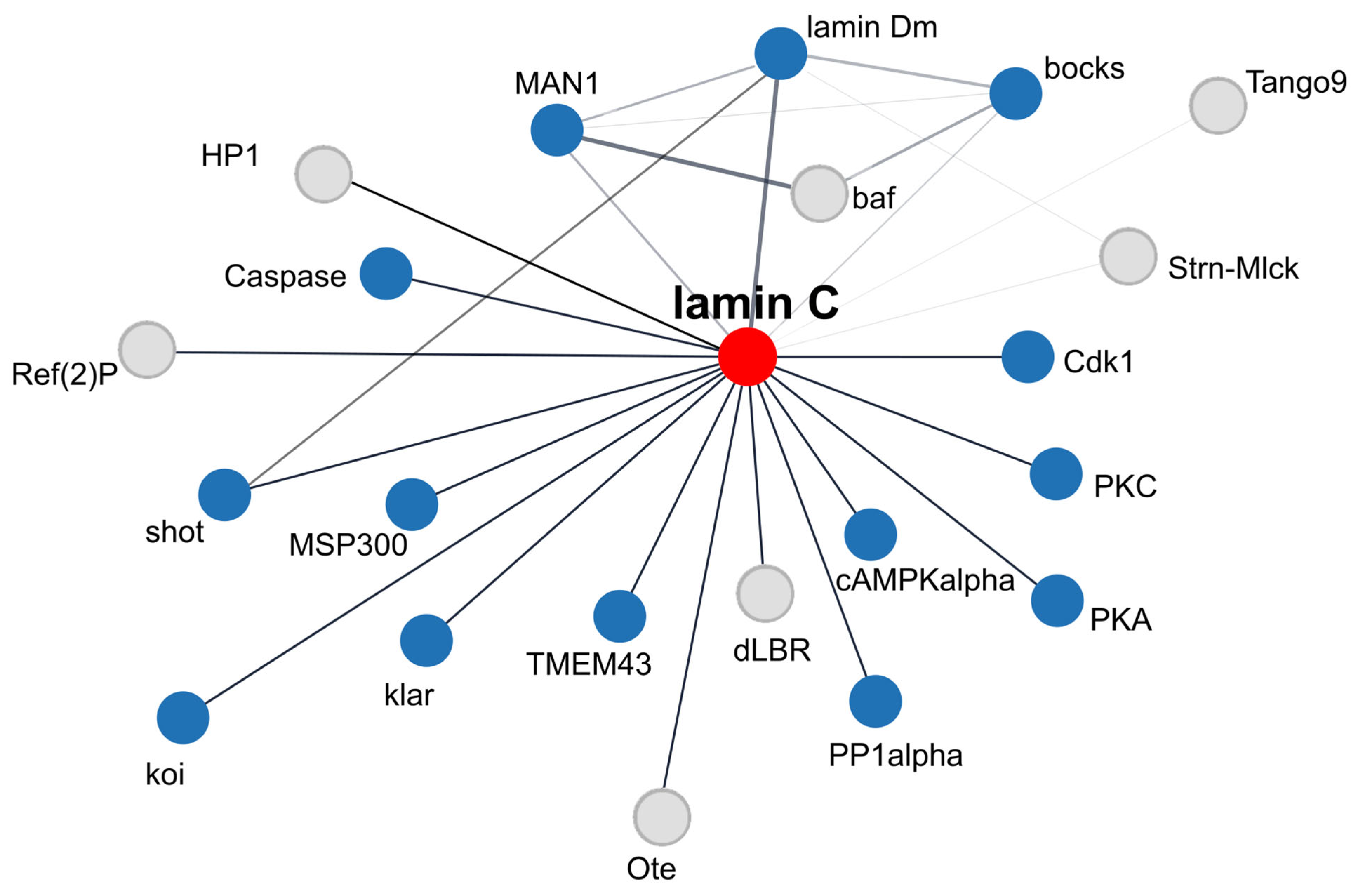 Cells 14 01303 g004 Cells 14 01303 g004