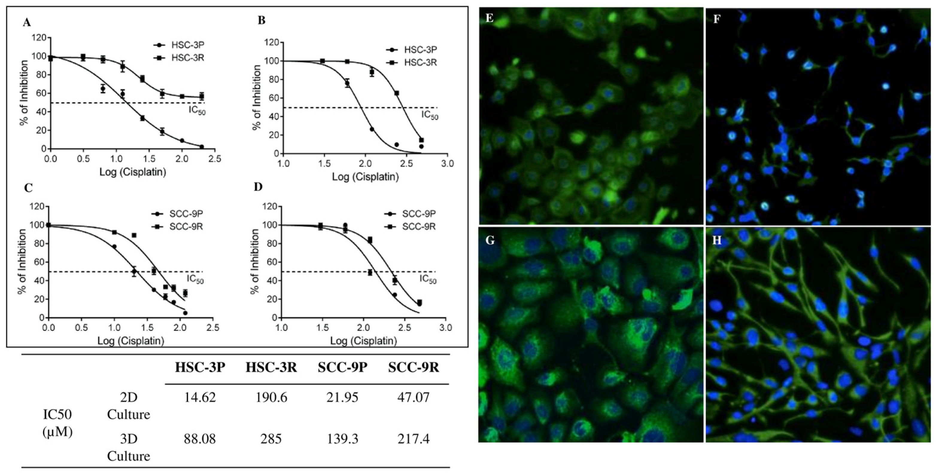 Cells 14 01311 g001 Cells 14 01311 g001