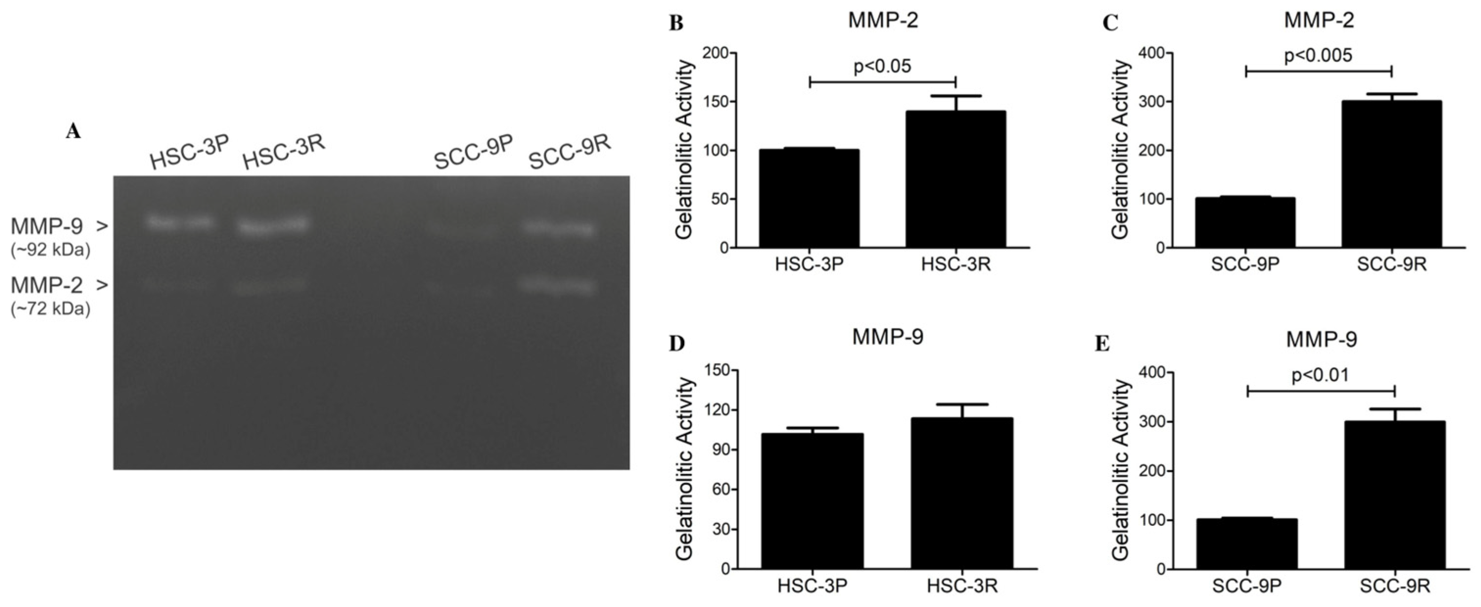 Cells 14 01311 g005 Cells 14 01311 g005