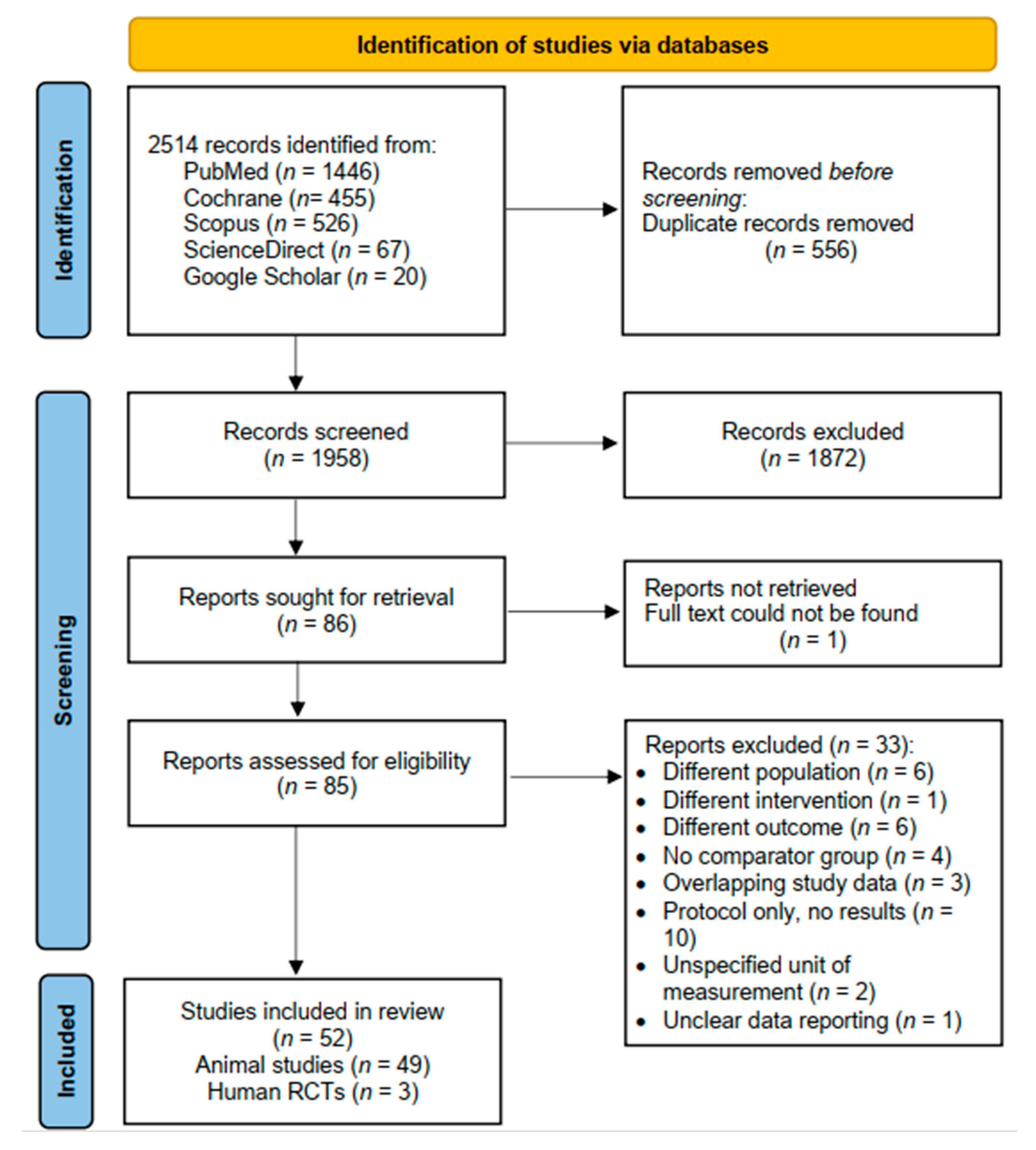 Cells 14 01313 g001 Cells 14 01313 g001