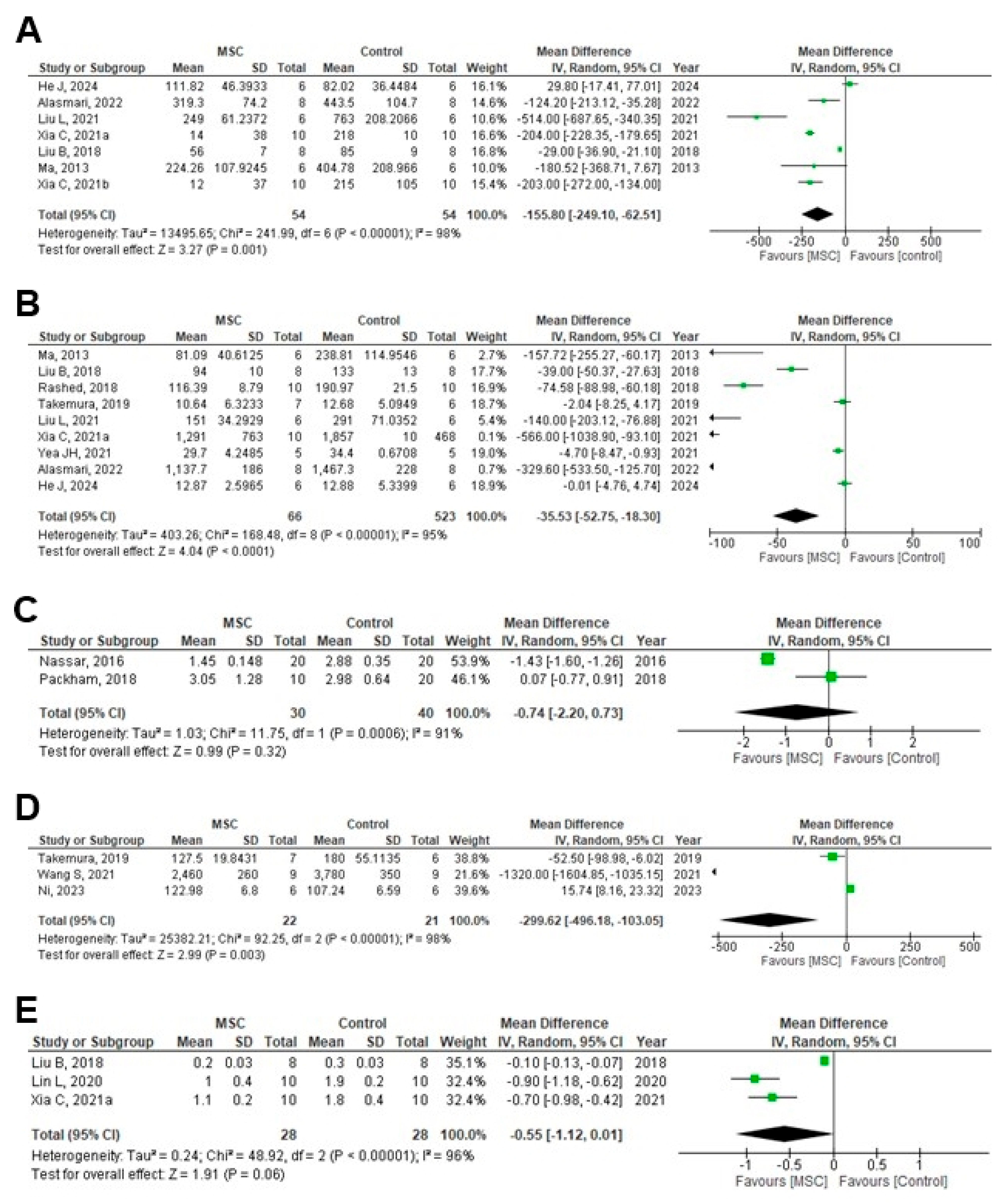 Cells 14 01313 g002 Cells 14 01313 g002