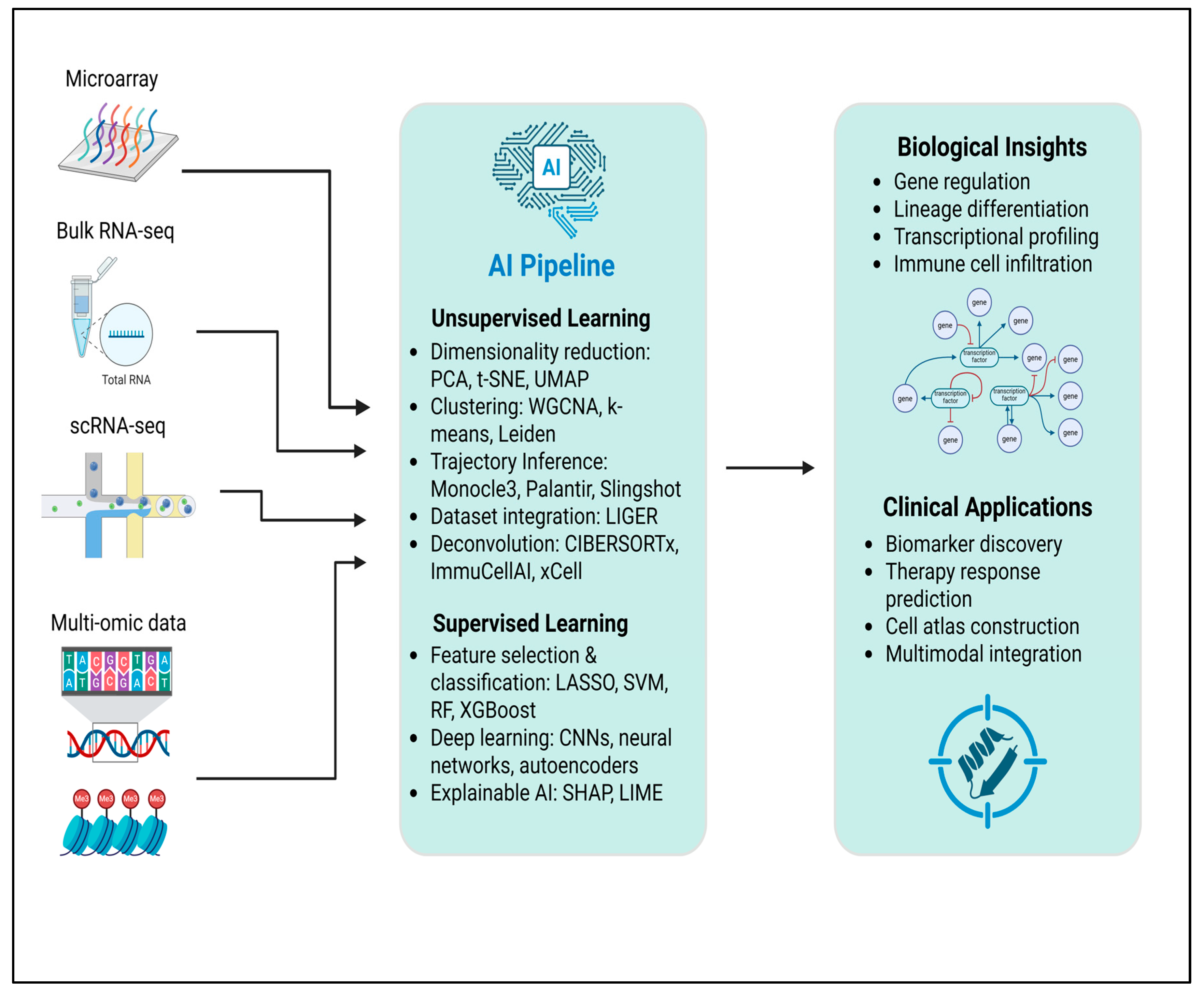 Cells 14 01315 g001 Cells 14 01315 g001