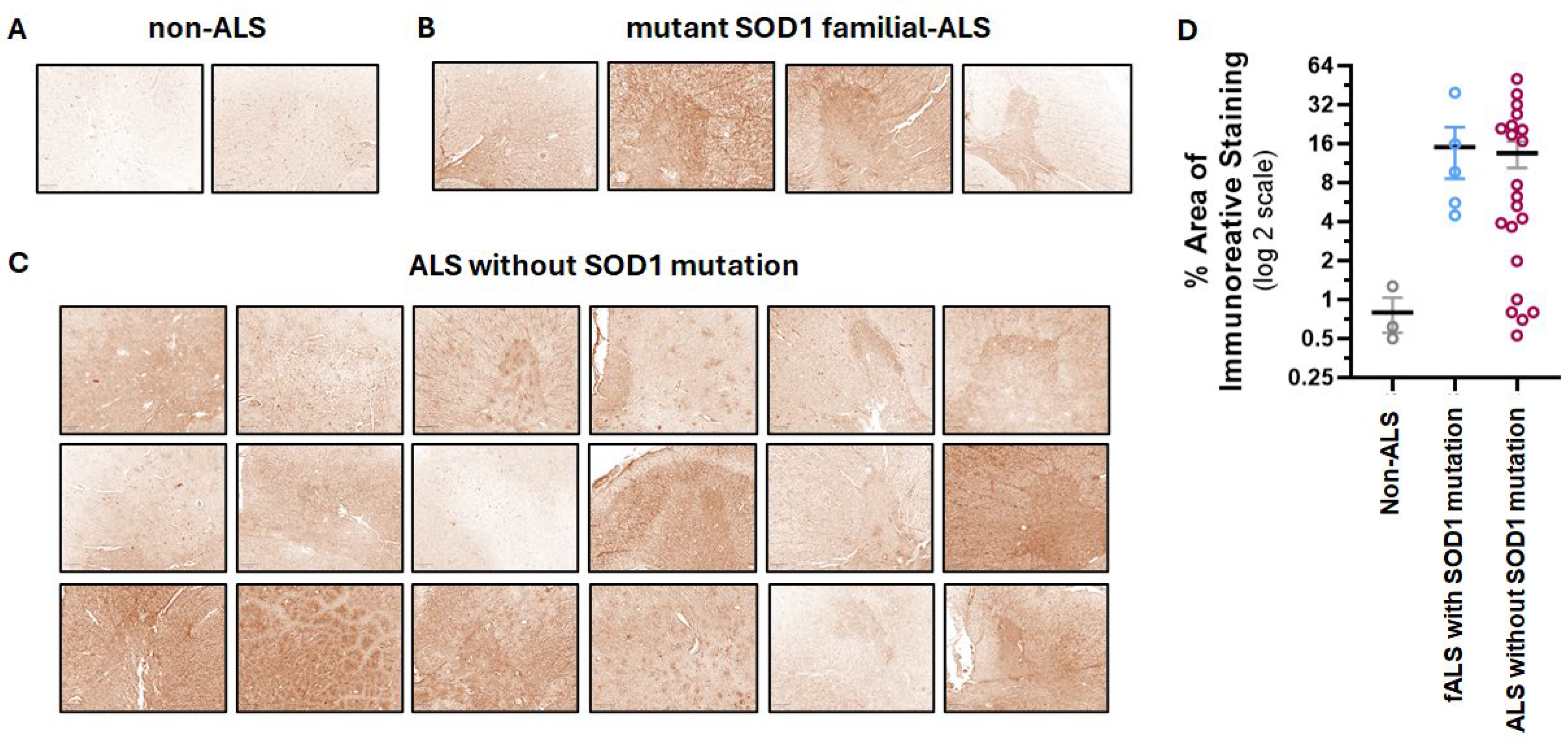 Cells 14 01318 g002 Cells 14 01318 g002