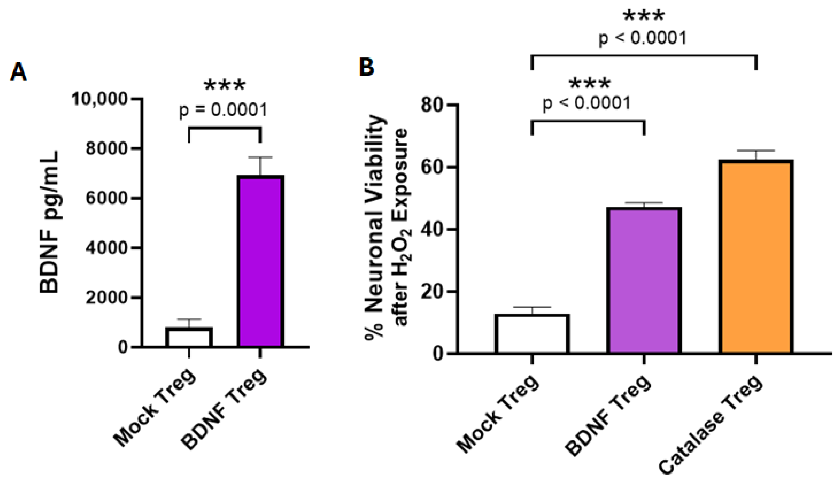 Cells 14 01318 g003 Cells 14 01318 g003