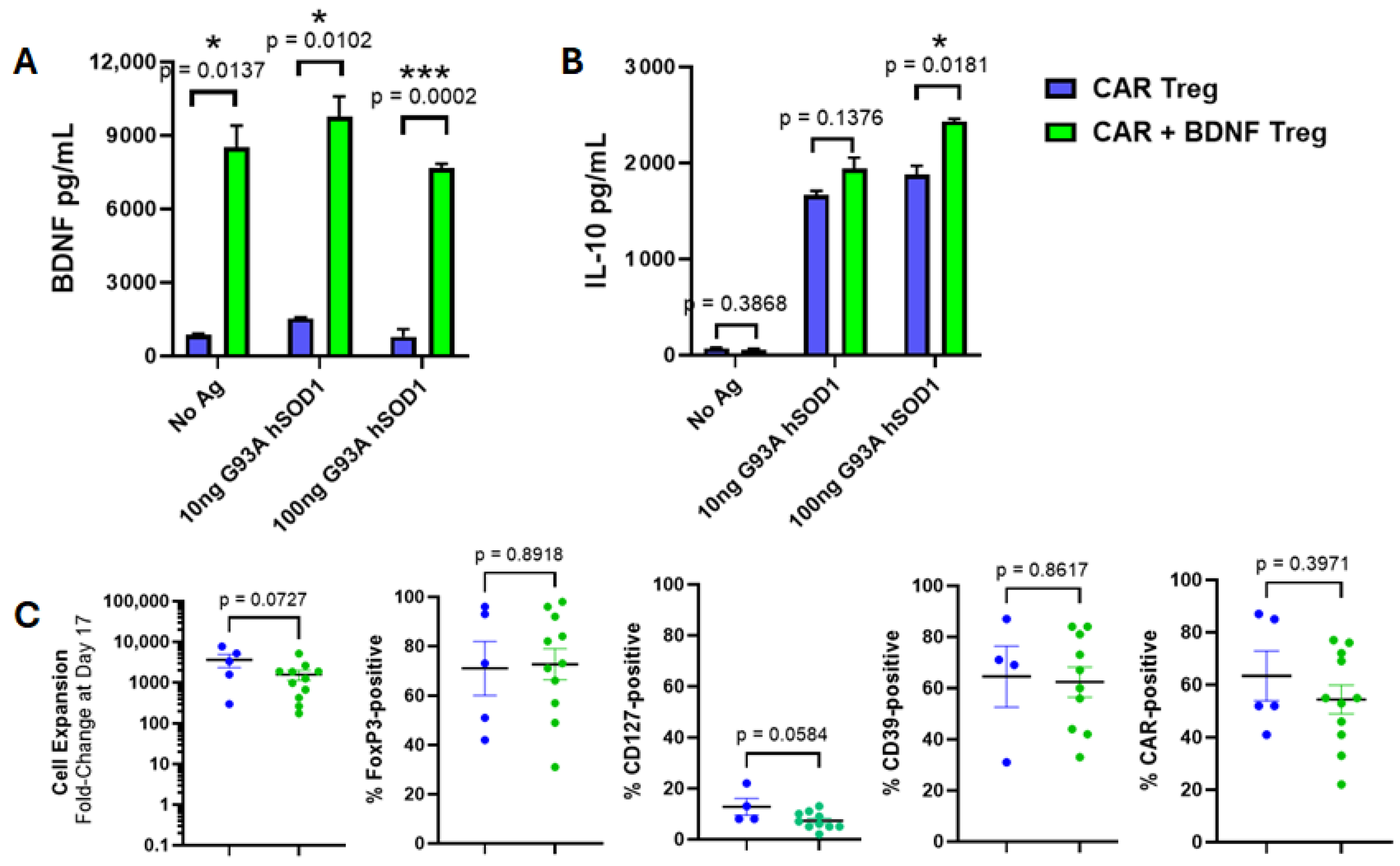 Cells 14 01318 g005 Cells 14 01318 g005