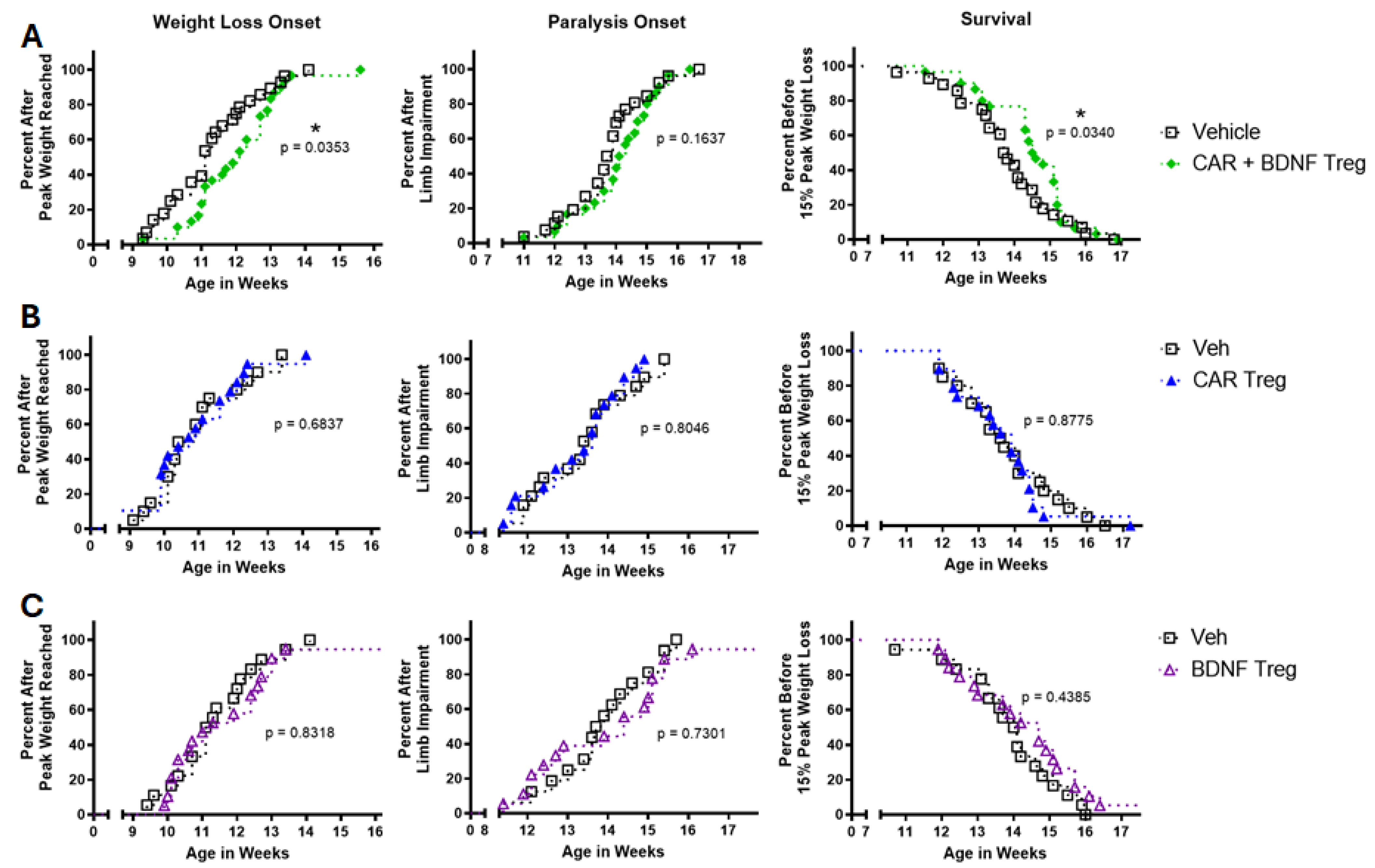 Cells 14 01318 g006 Cells 14 01318 g006