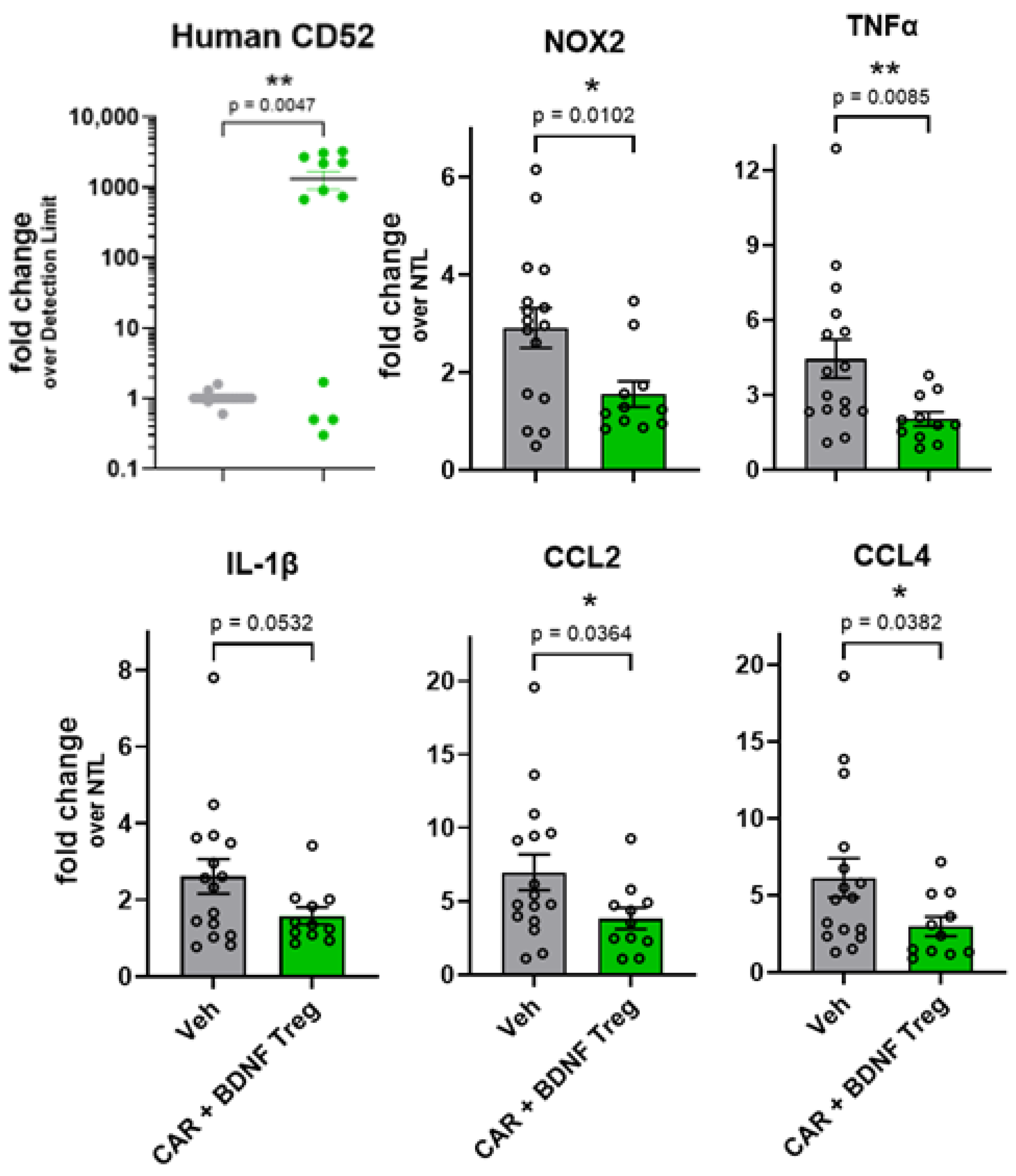Cells 14 01318 g007 Cells 14 01318 g007
