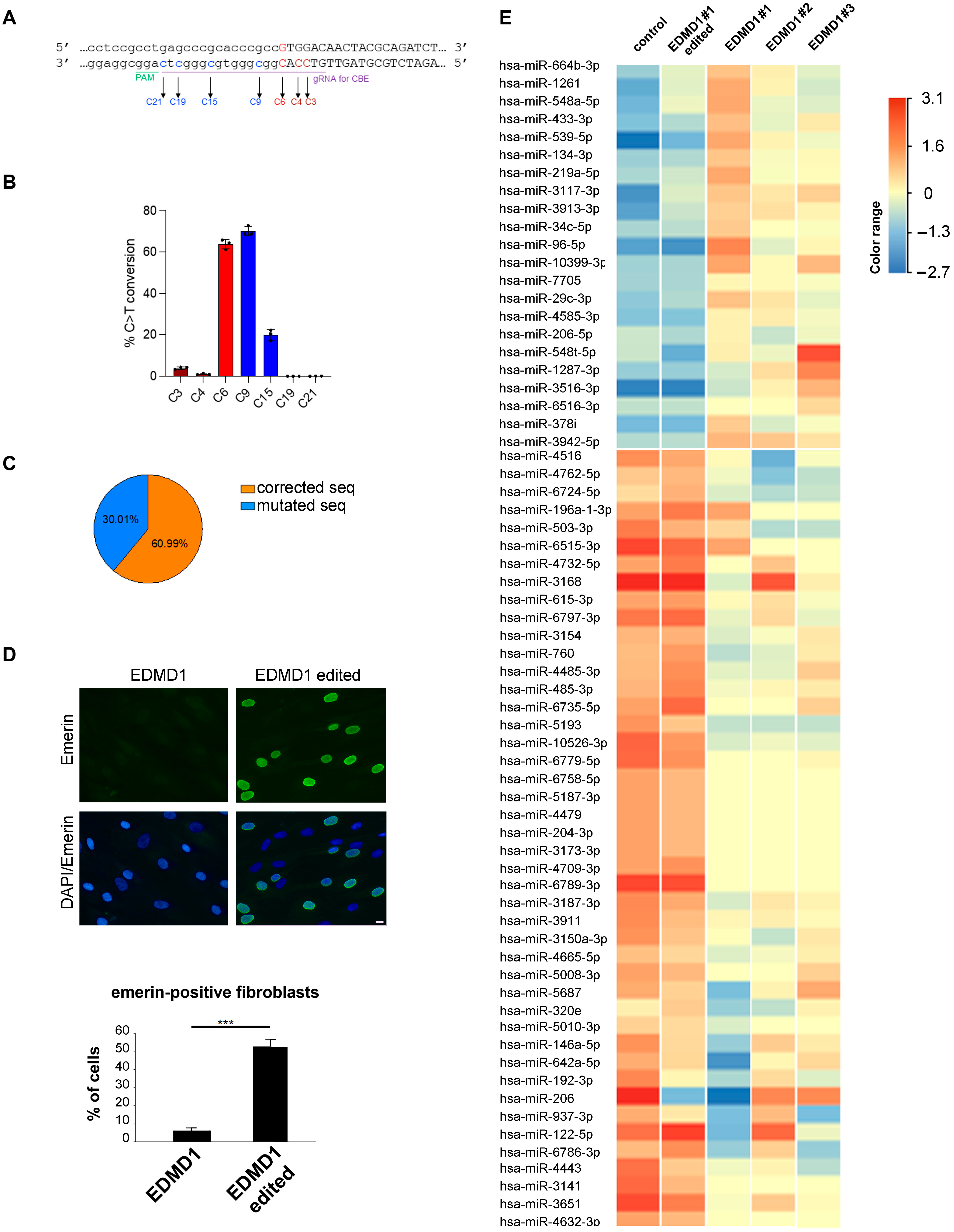Cells 14 01321 g002 Cells 14 01321 g002