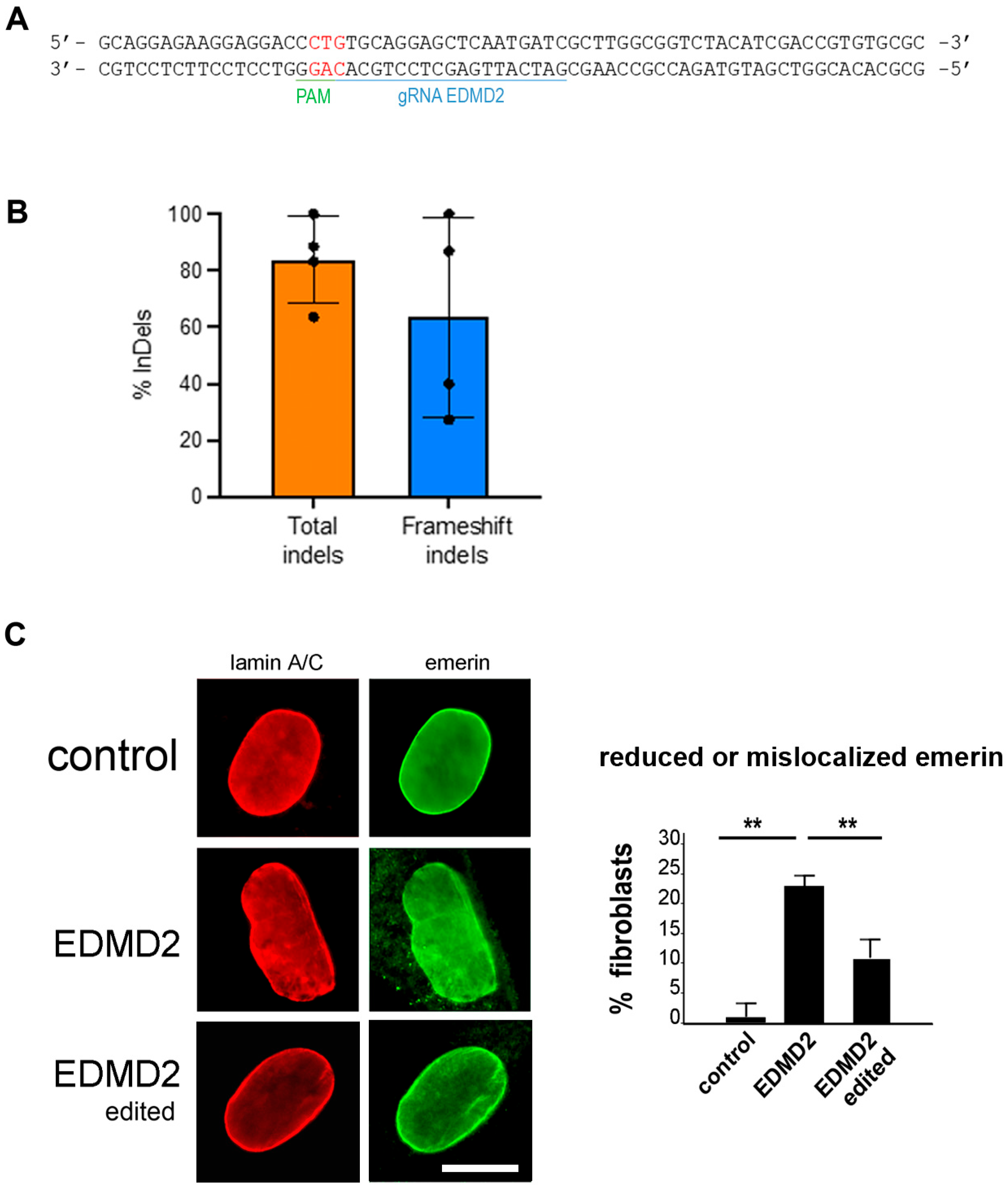Cells 14 01321 g003 Cells 14 01321 g003
