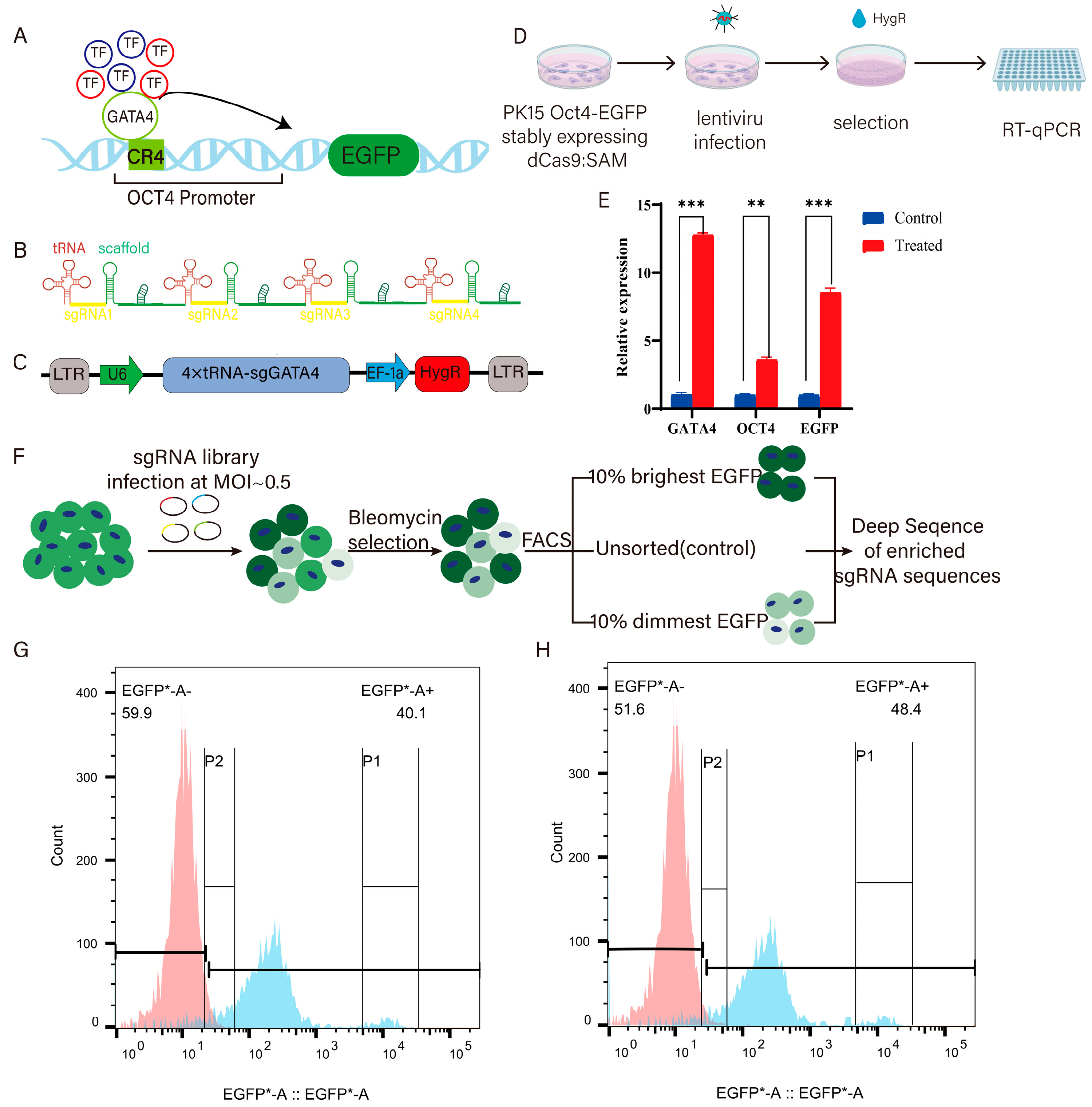 Cells 14 01330 g003 Cells 14 01330 g003