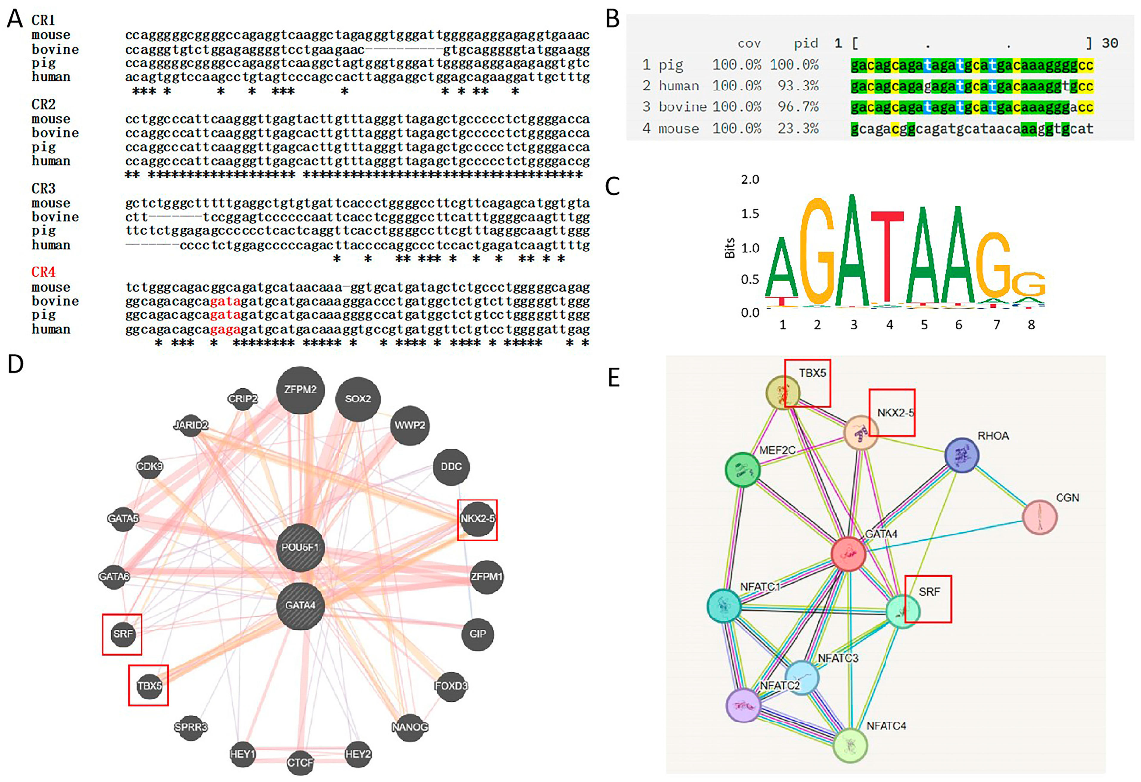 Cells 14 01330 g006 Cells 14 01330 g006