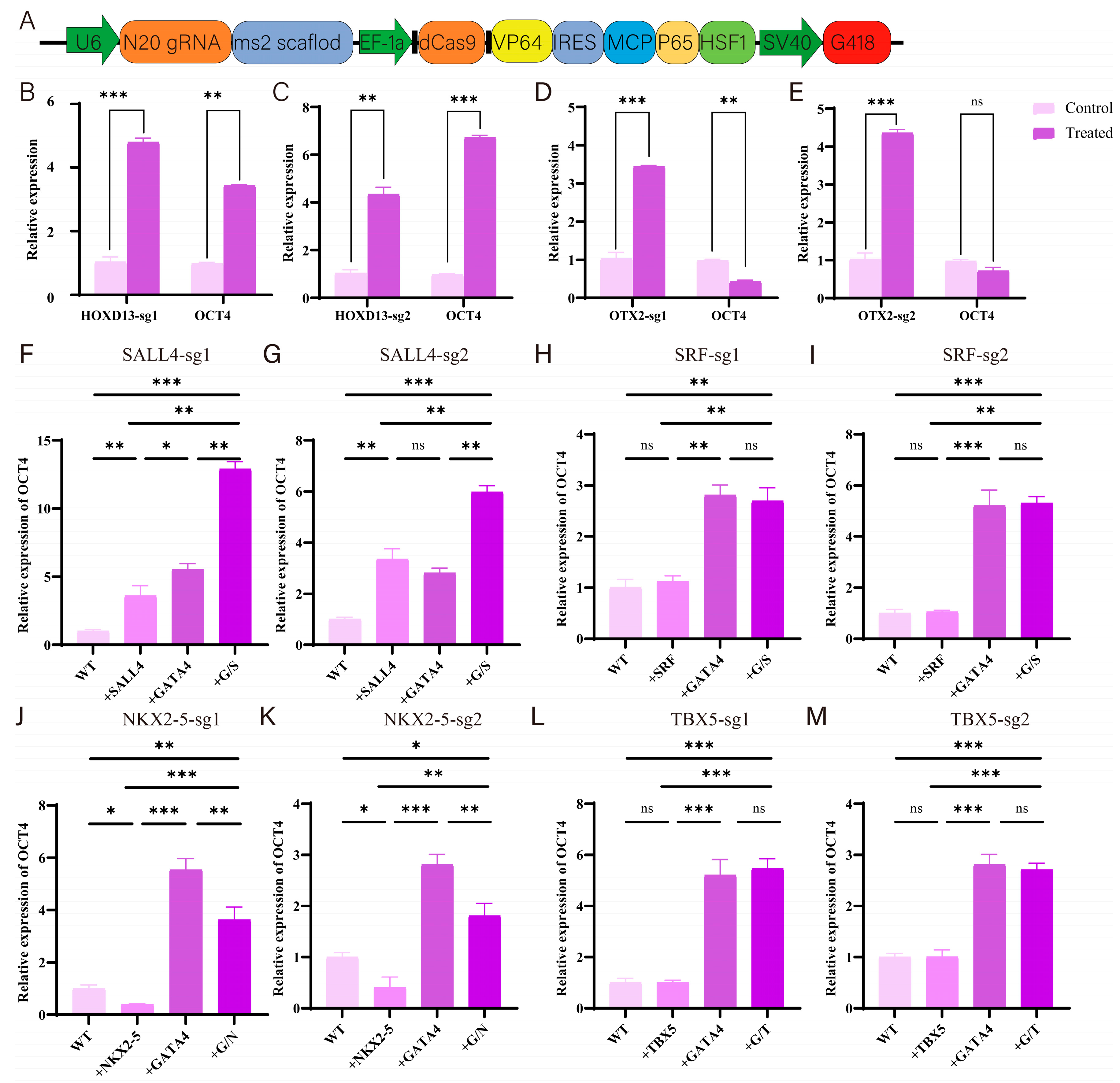 Cells 14 01330 g007 Cells 14 01330 g007
