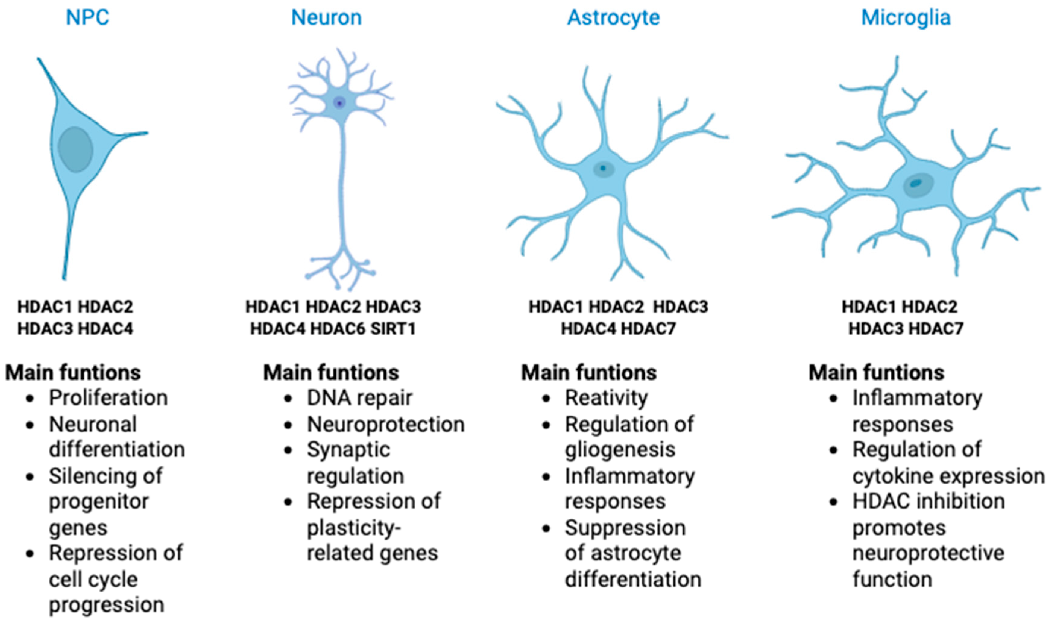 Cells 14 01338 g001 Cells 14 01338 g001
