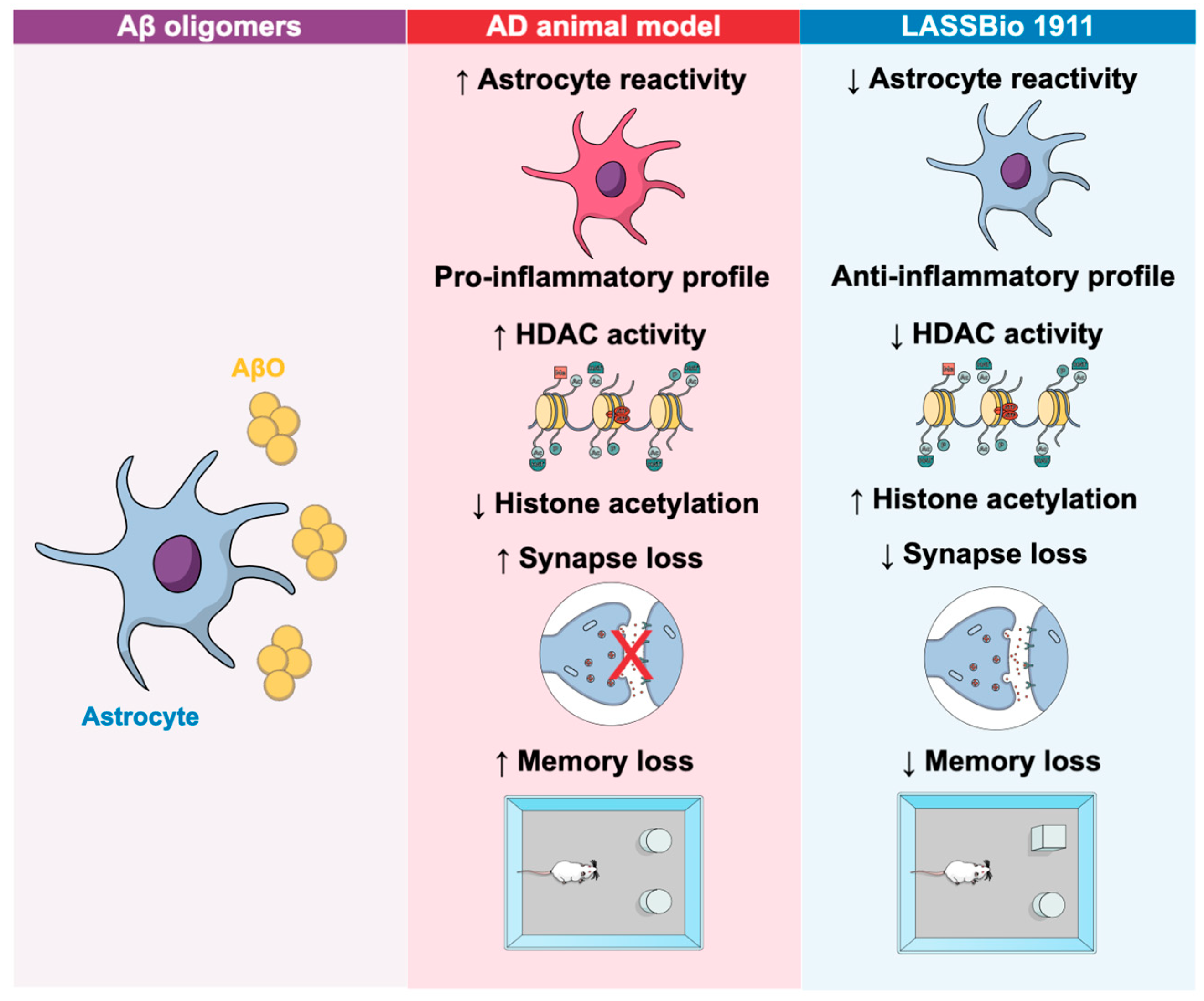 Cells 14 01338 g002 Cells 14 01338 g002