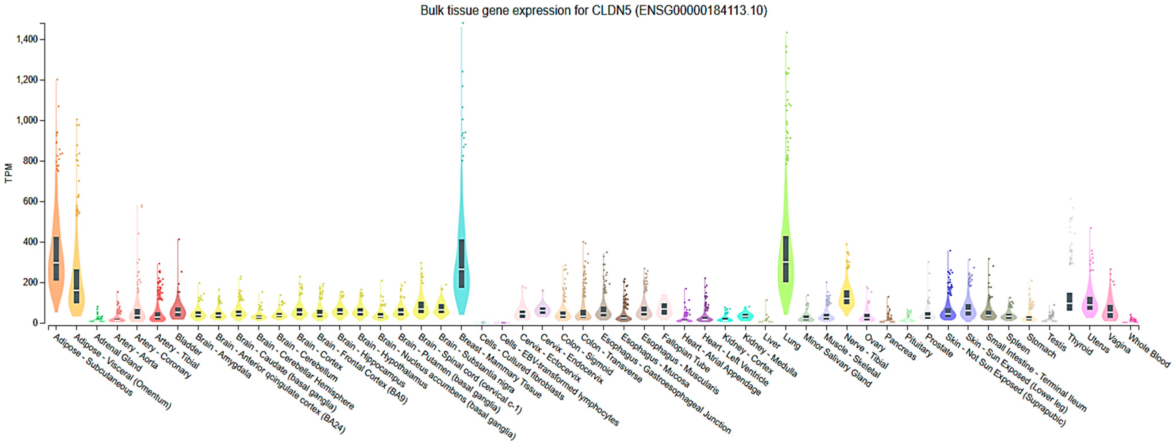 Cells 14 01346 g001 Cells 14 01346 g001