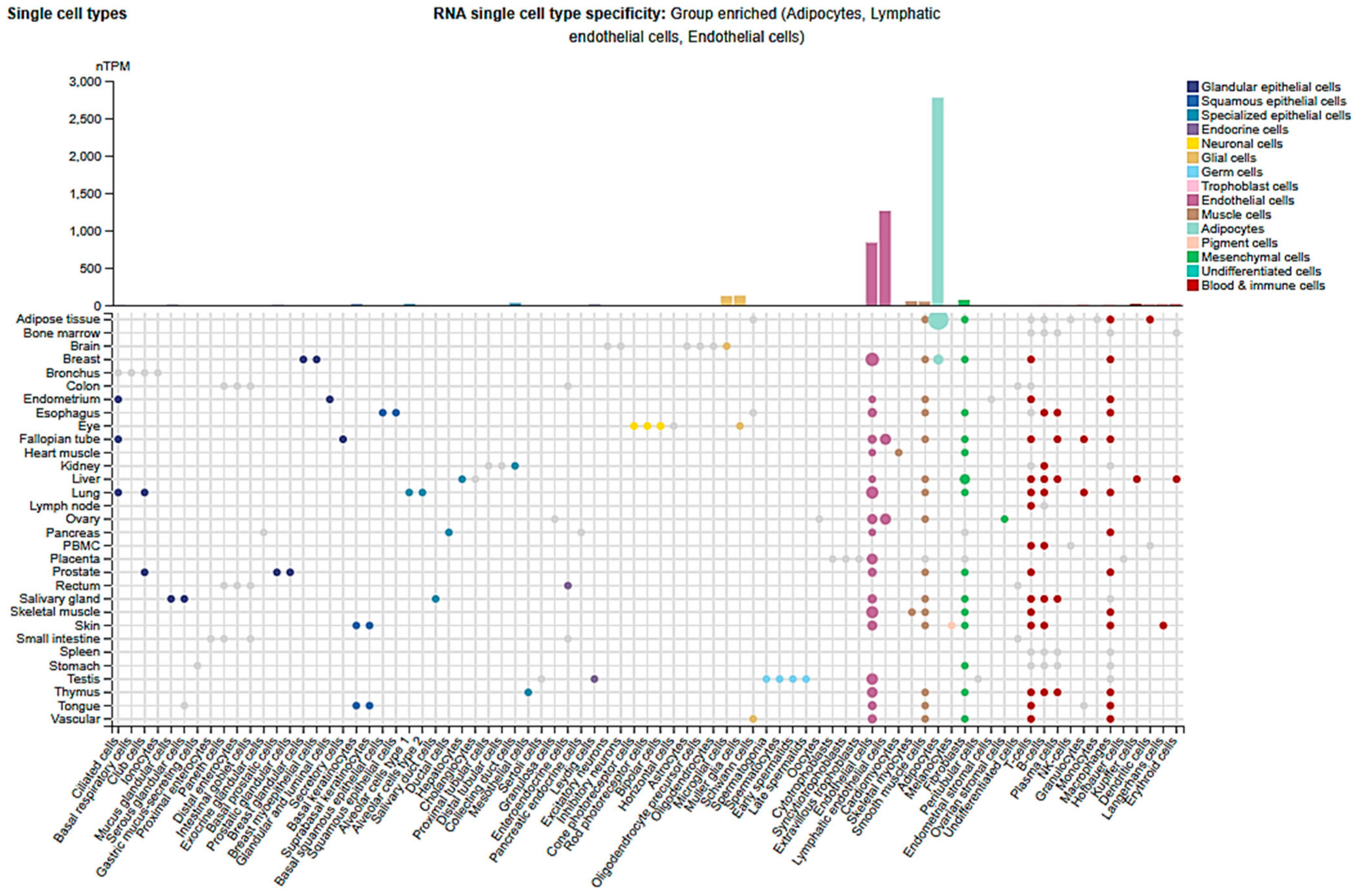 Cells 14 01346 g002 Cells 14 01346 g002