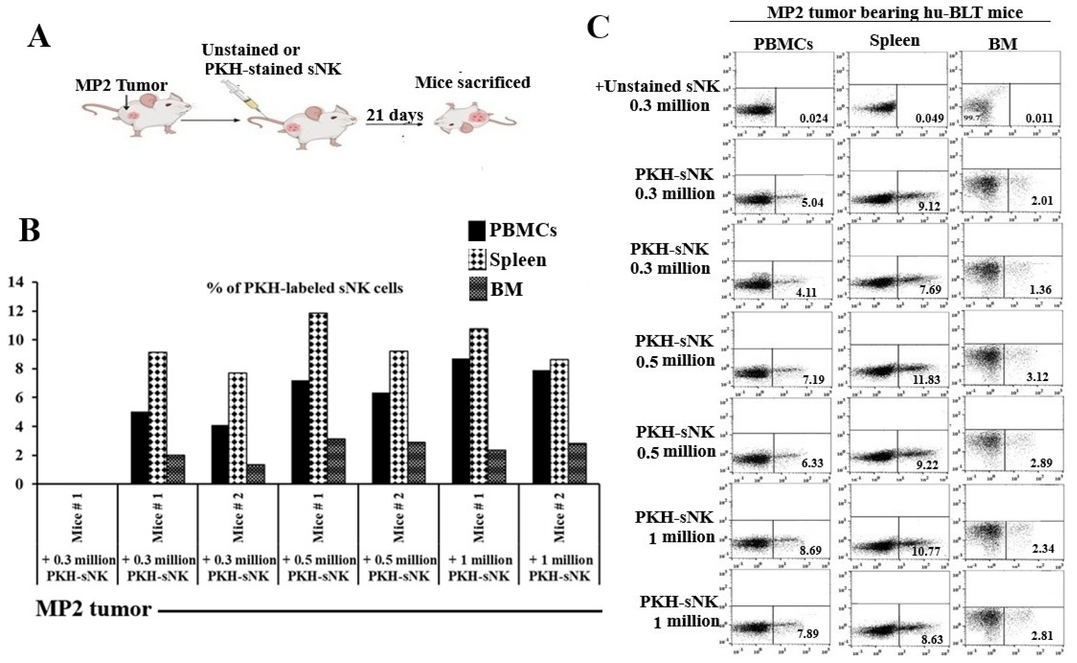 Cells 14 01347 g001 Cells 14 01347 g001