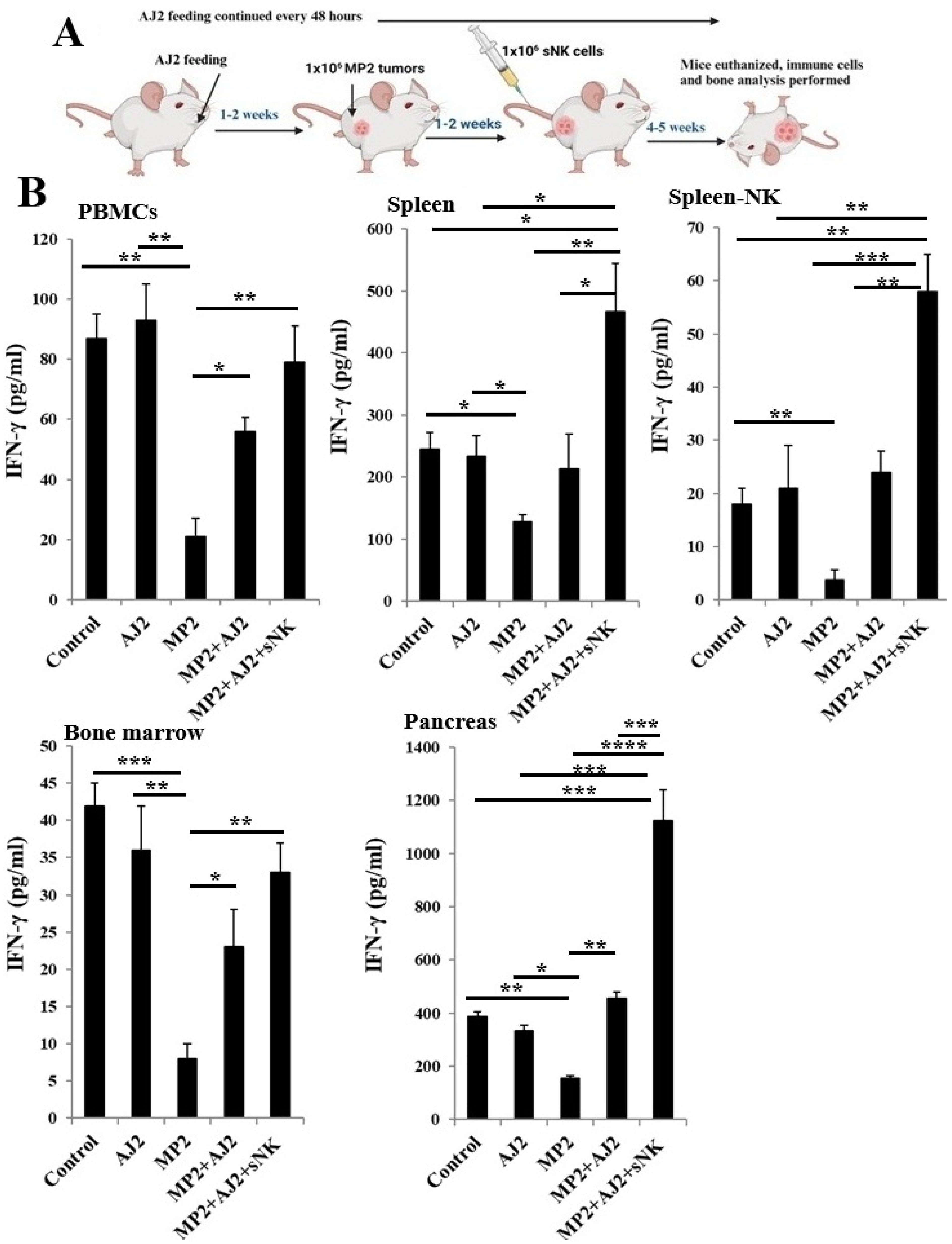 Cells 14 01347 g002 Cells 14 01347 g002