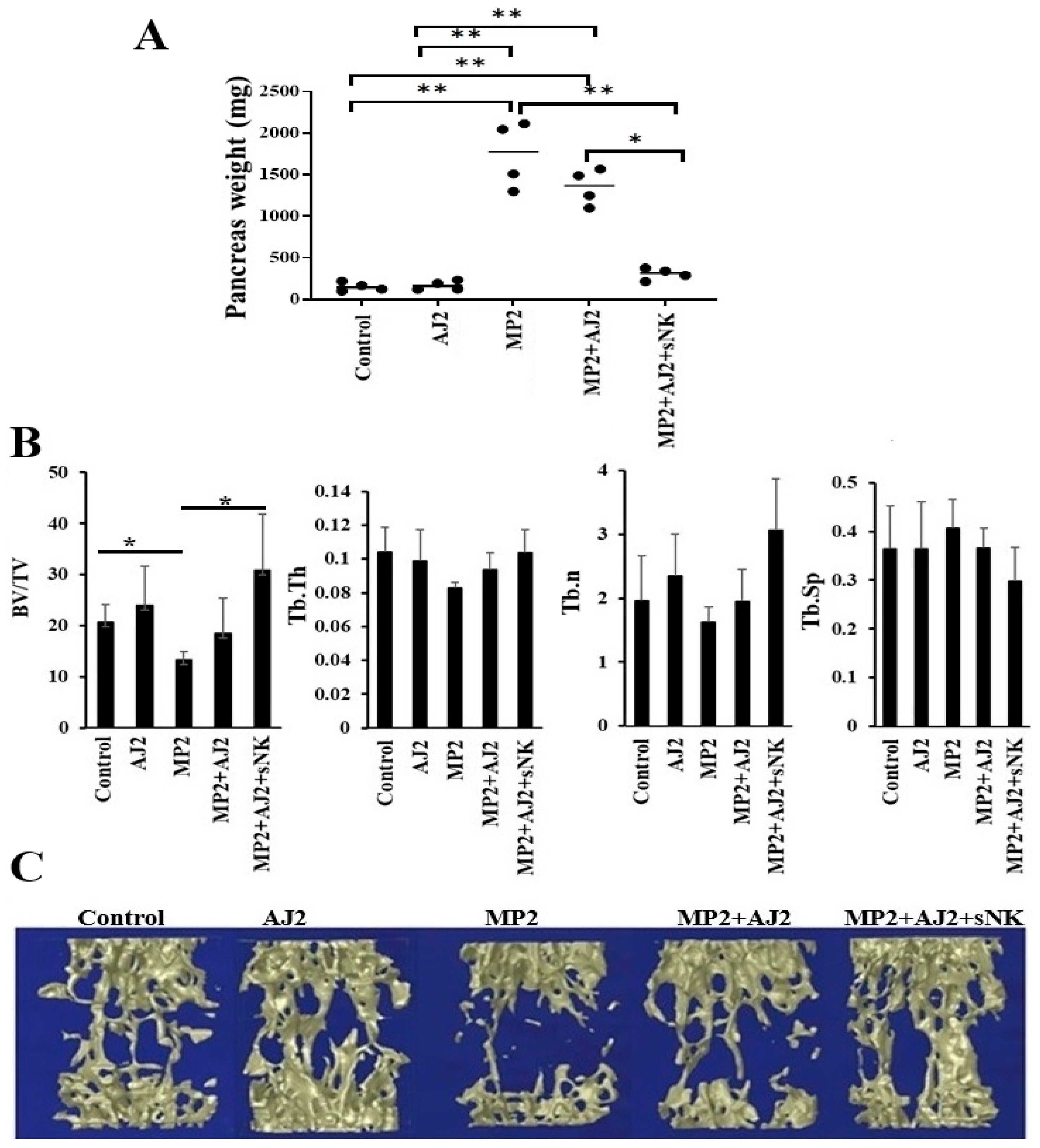 Cells 14 01347 g003 Cells 14 01347 g003