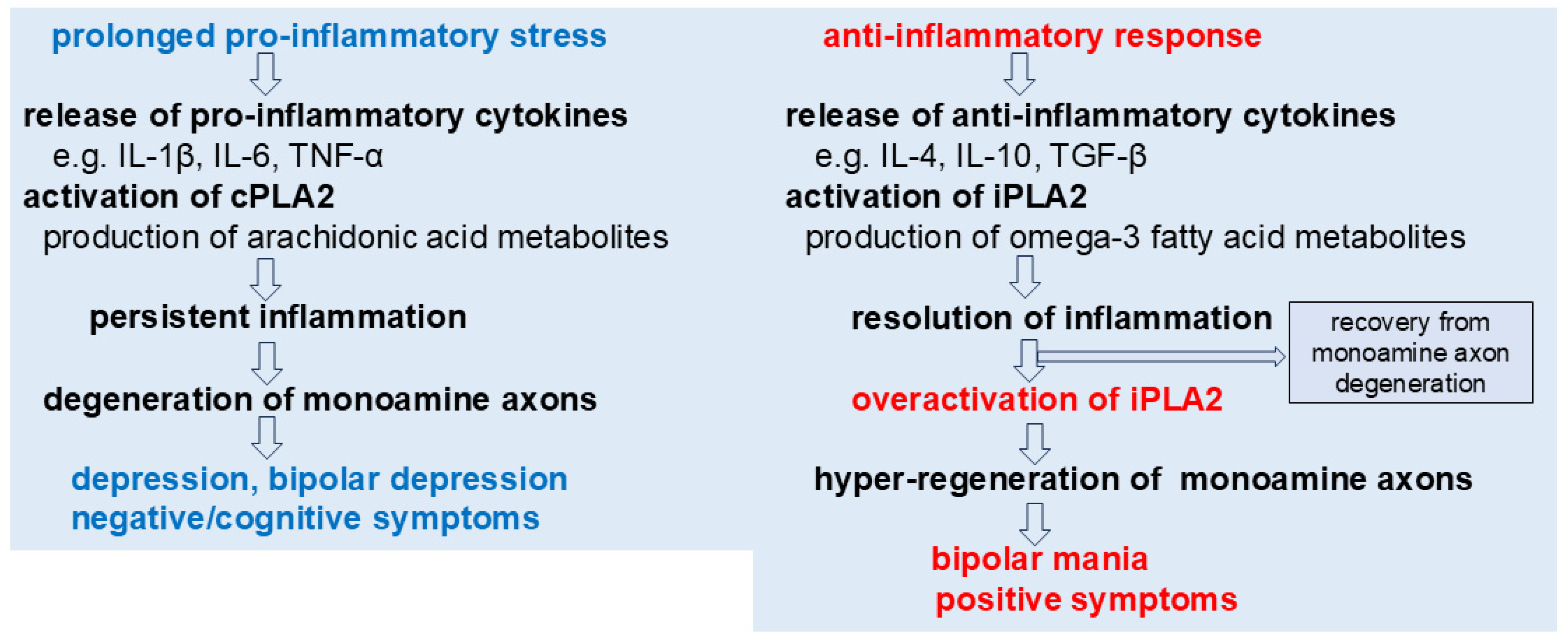 Cells 14 01348 g001 Cells 14 01348 g001