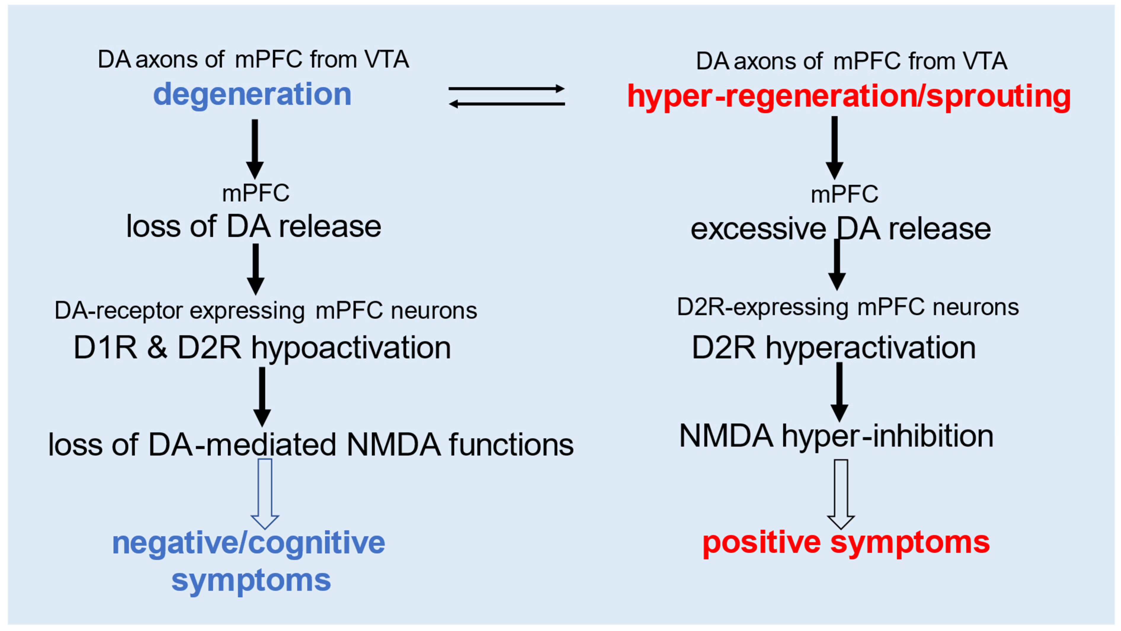 Cells 14 01348 g002 Cells 14 01348 g002