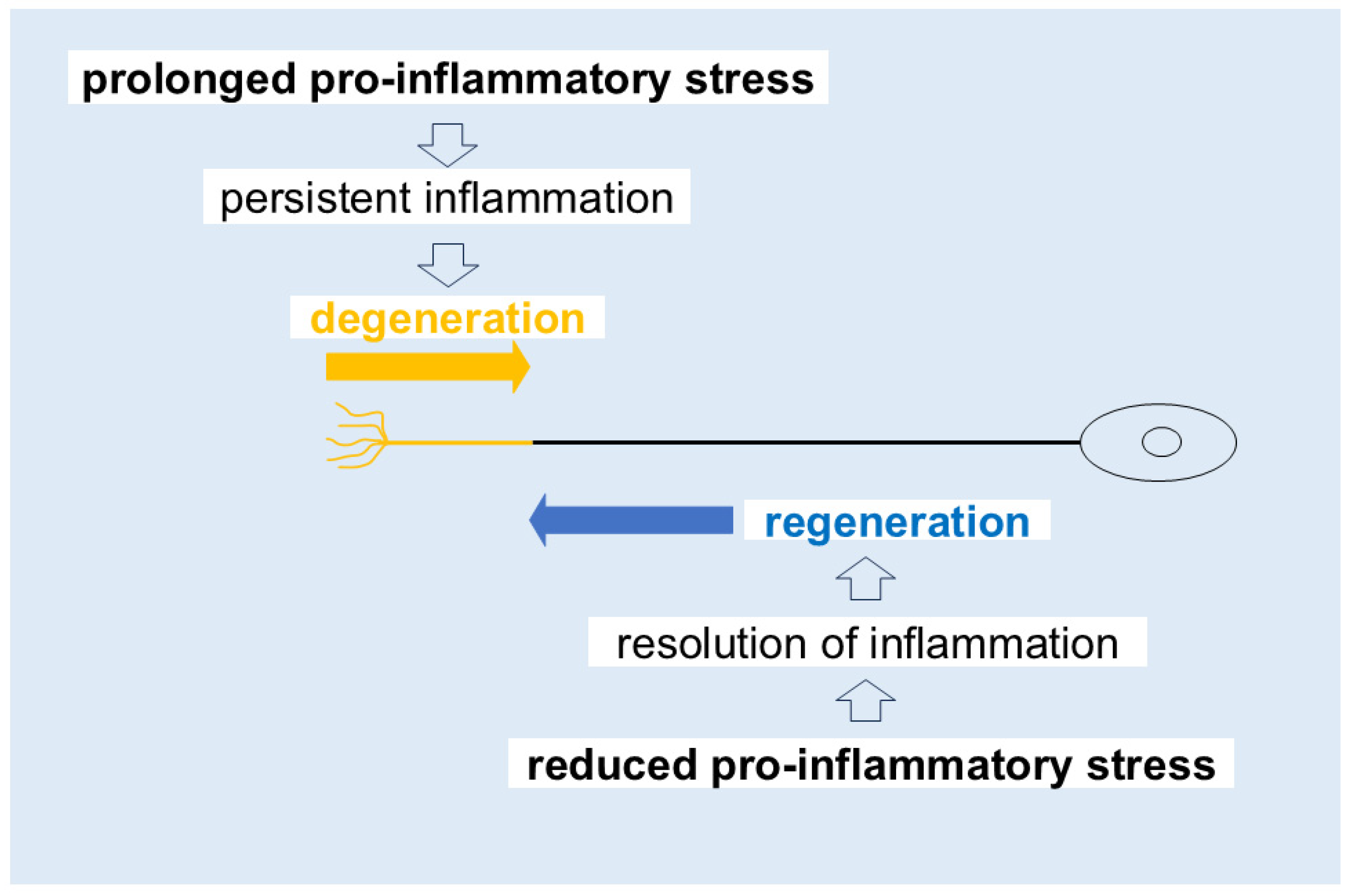 Cells 14 01348 g003 Cells 14 01348 g003