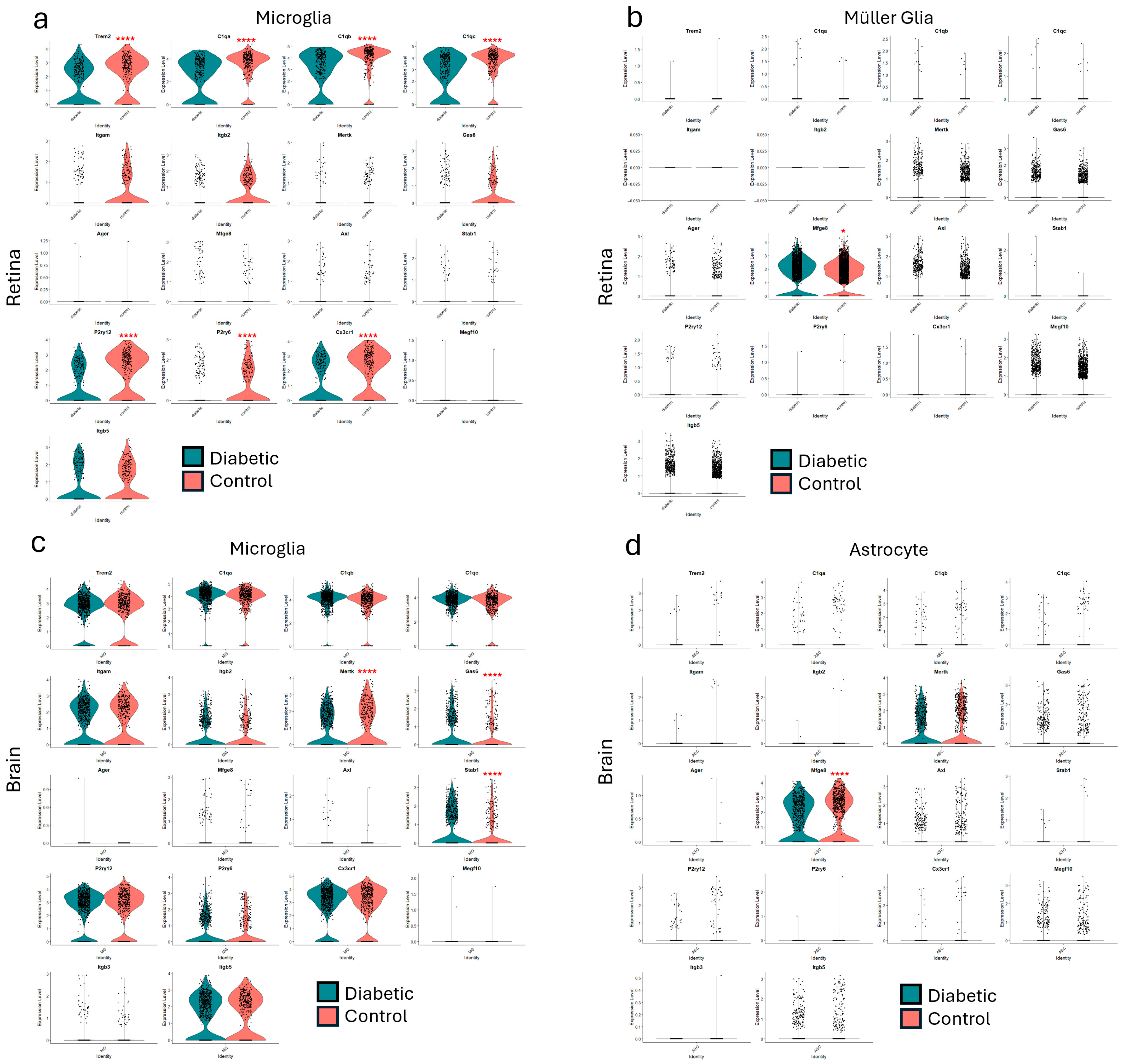 Cells 14 01349 g007 Cells 14 01349 g007