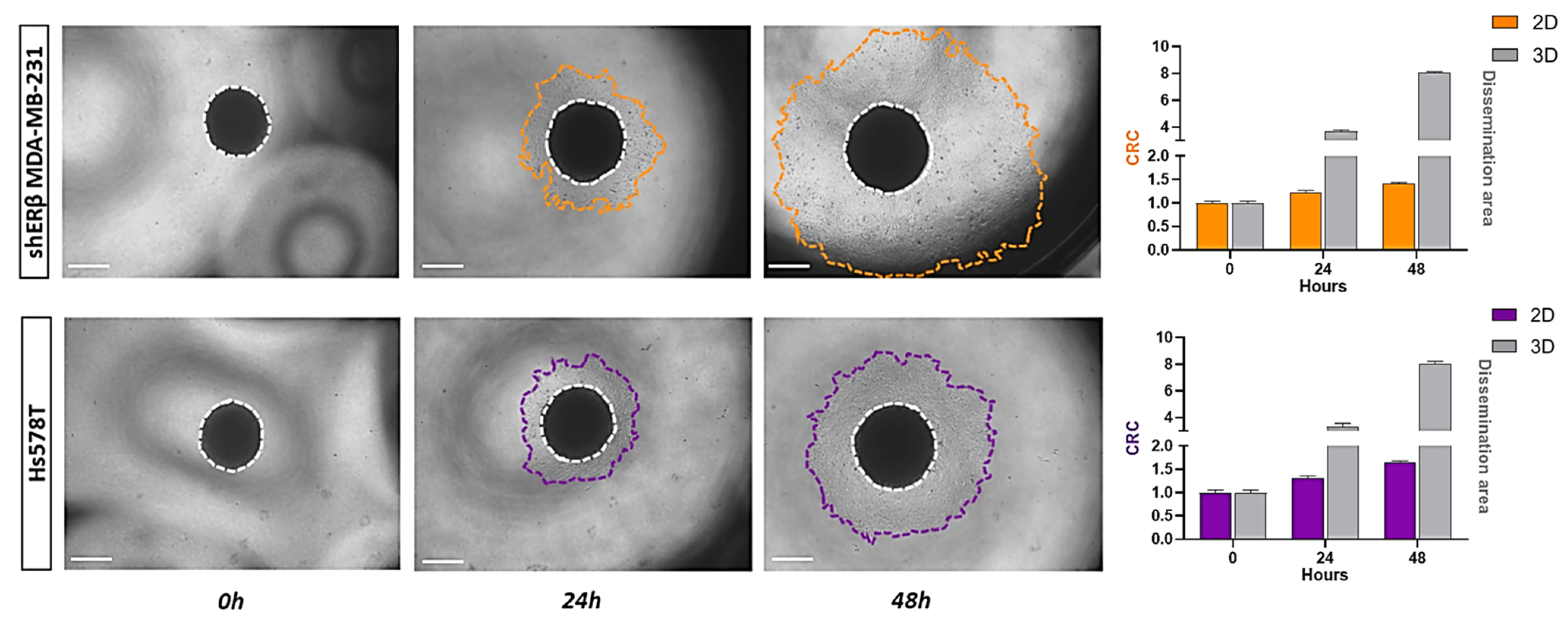 Cells 14 01351 g003 Cells 14 01351 g003