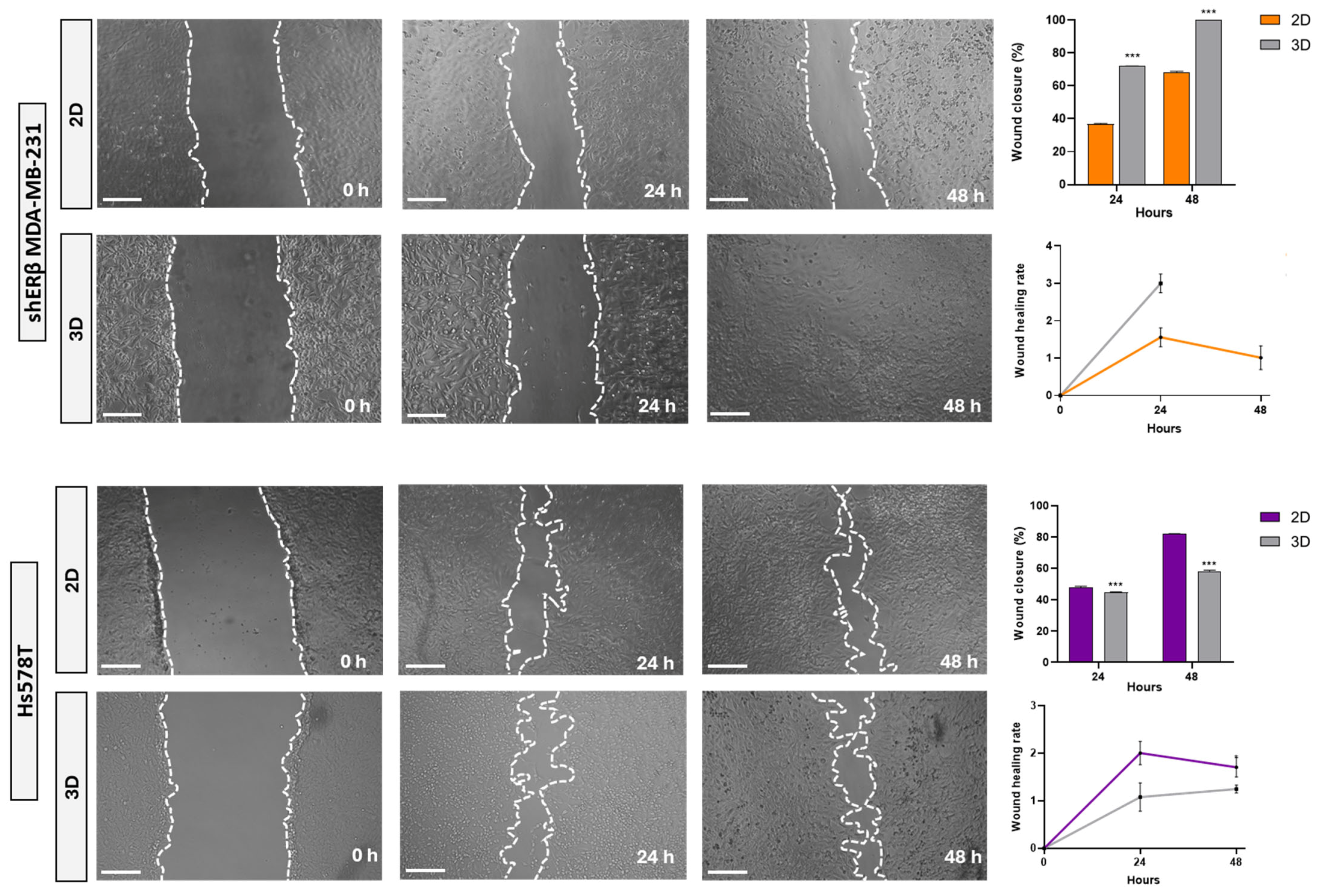 Cells 14 01351 g004 Cells 14 01351 g004