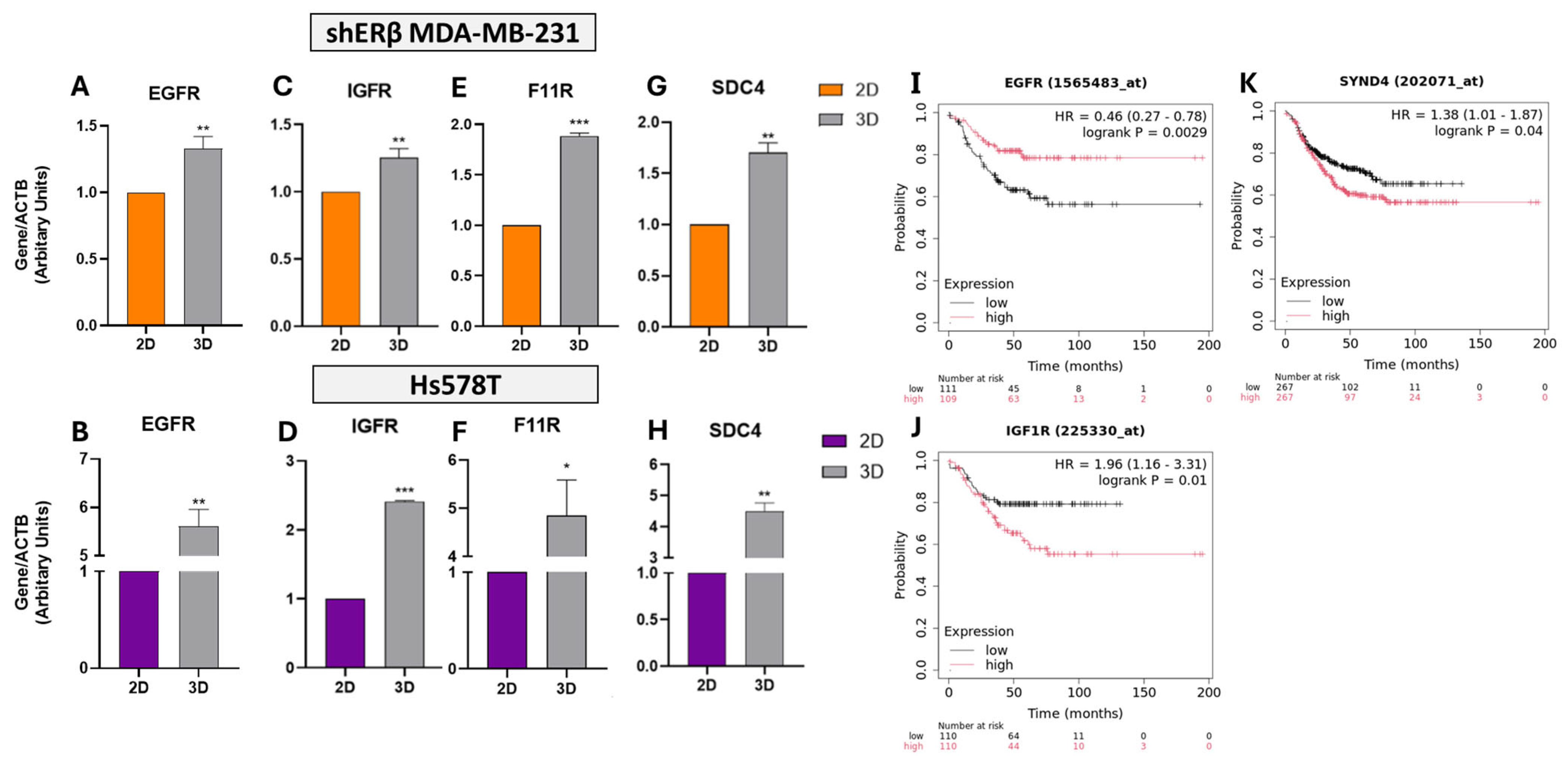 Cells 14 01351 g005 Cells 14 01351 g005