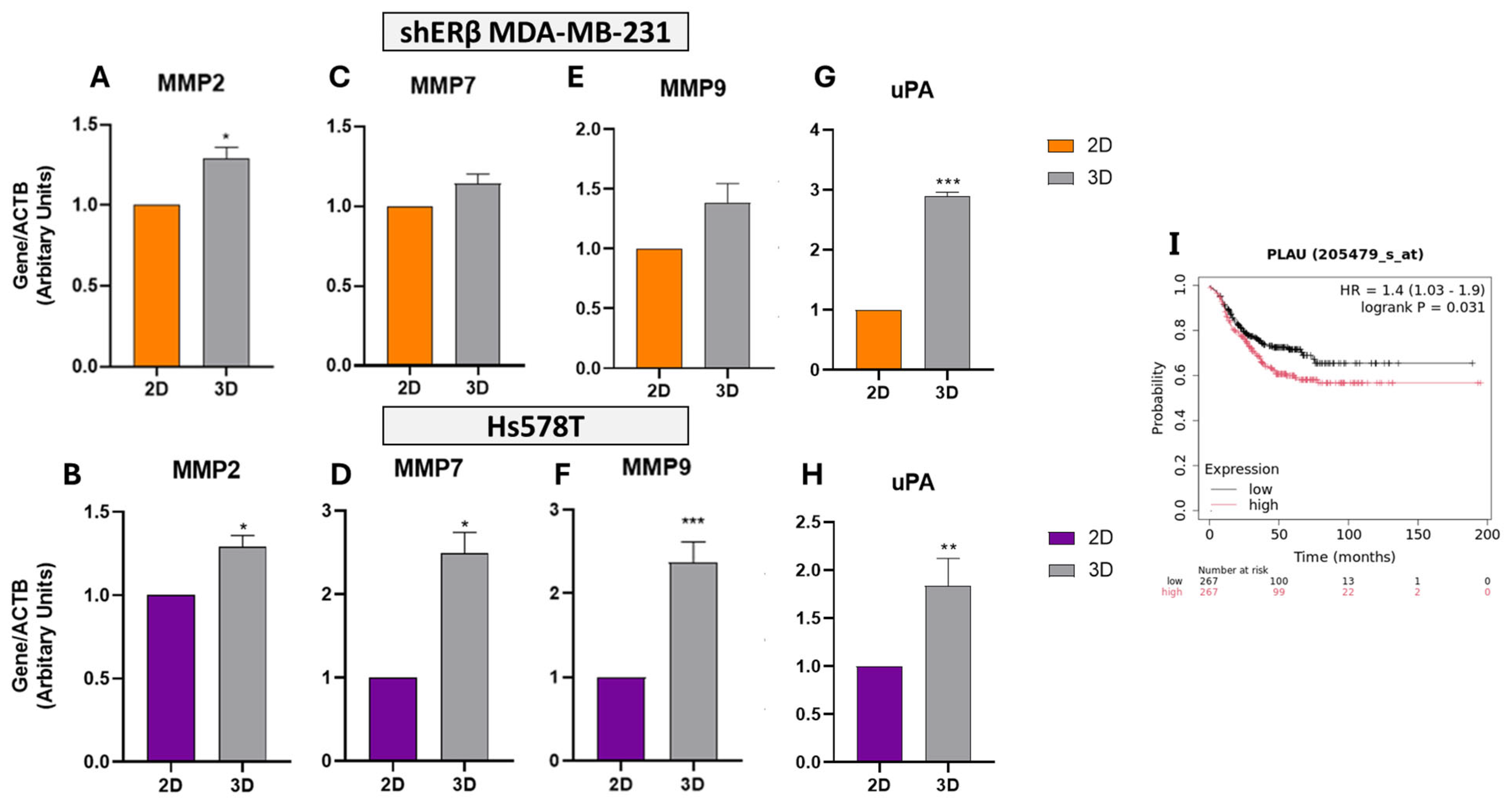Cells 14 01351 g006 Cells 14 01351 g006