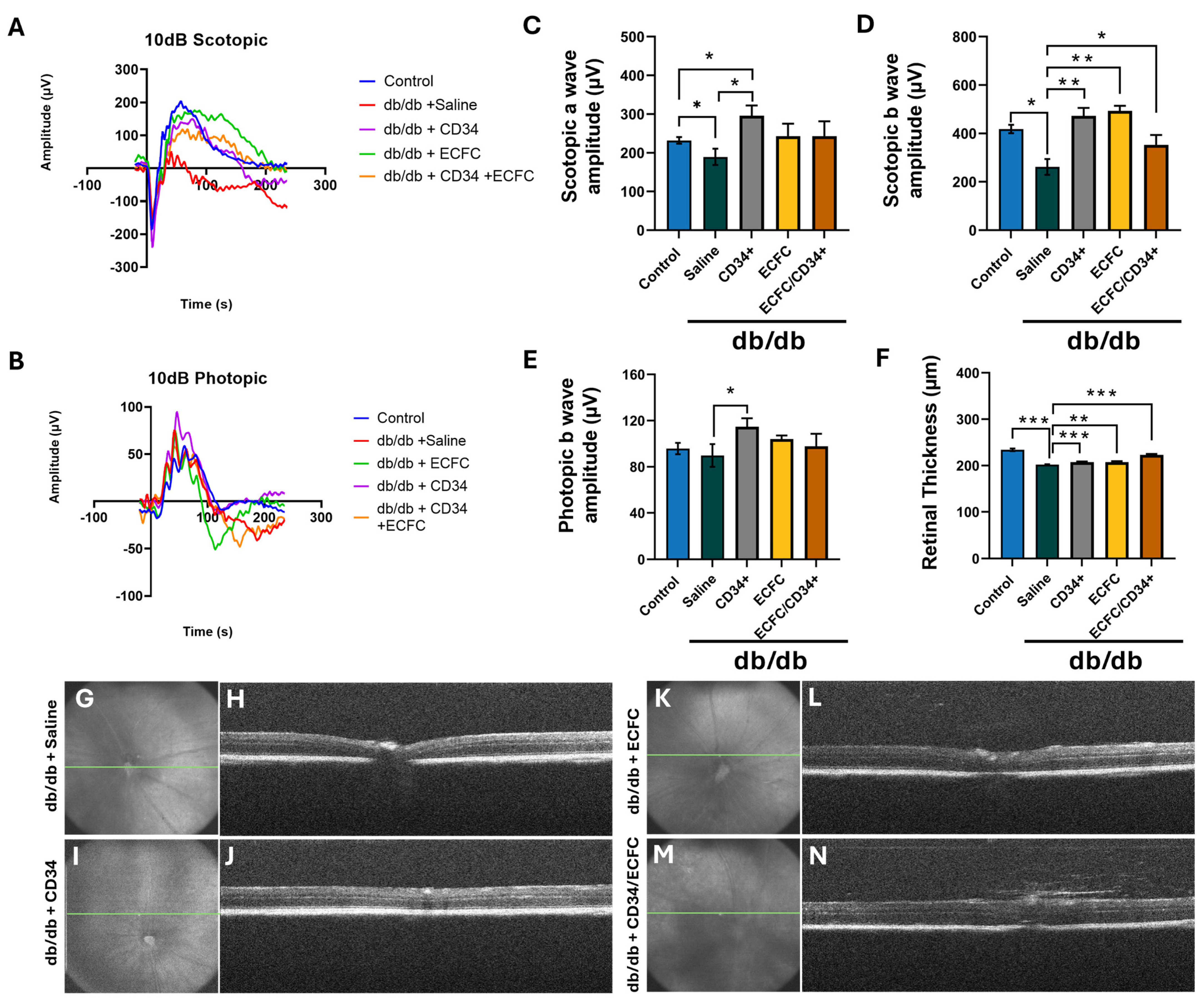 Cells 14 01352 g003 Cells 14 01352 g003