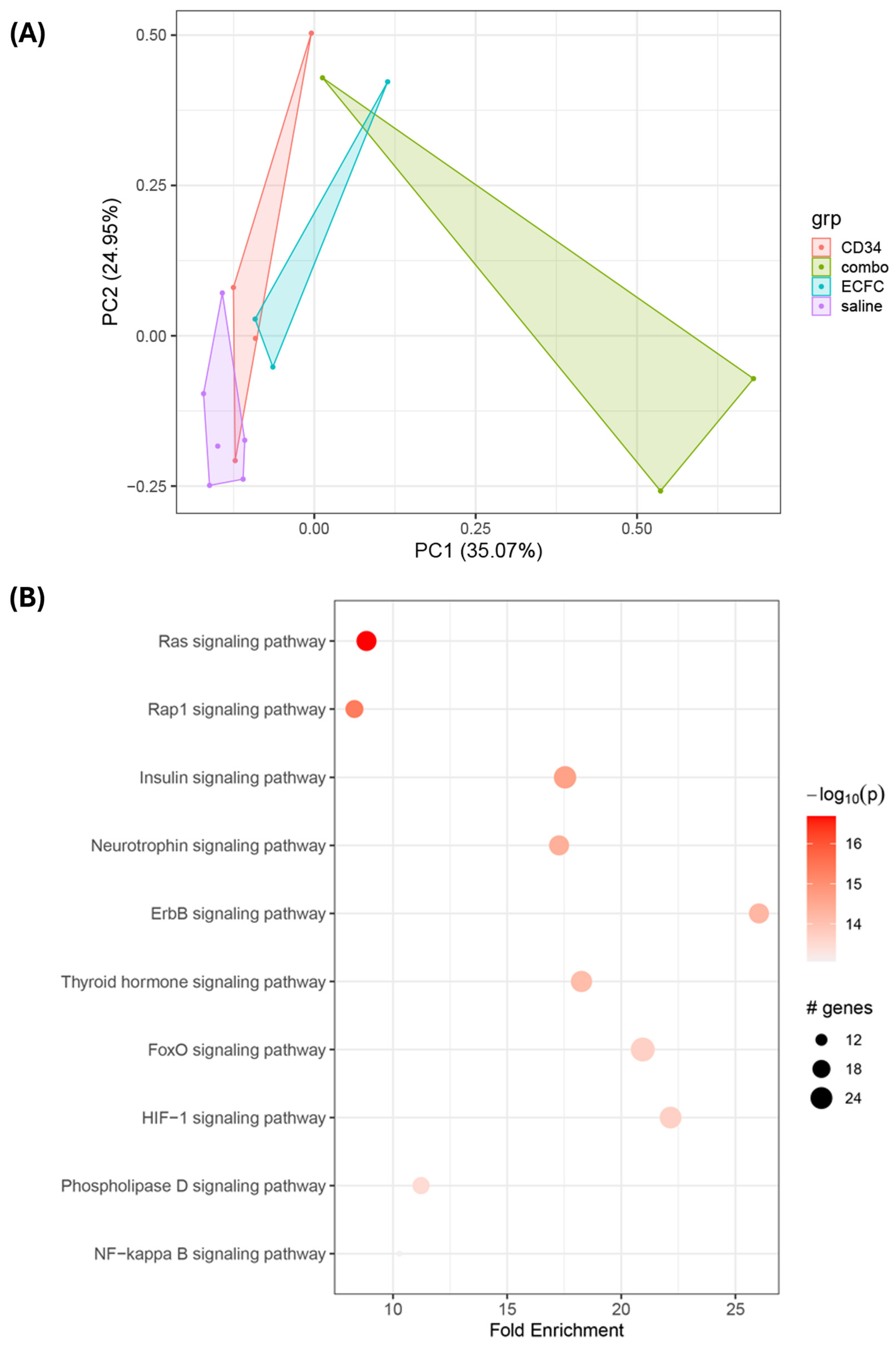 Cells 14 01352 g004 Cells 14 01352 g004
