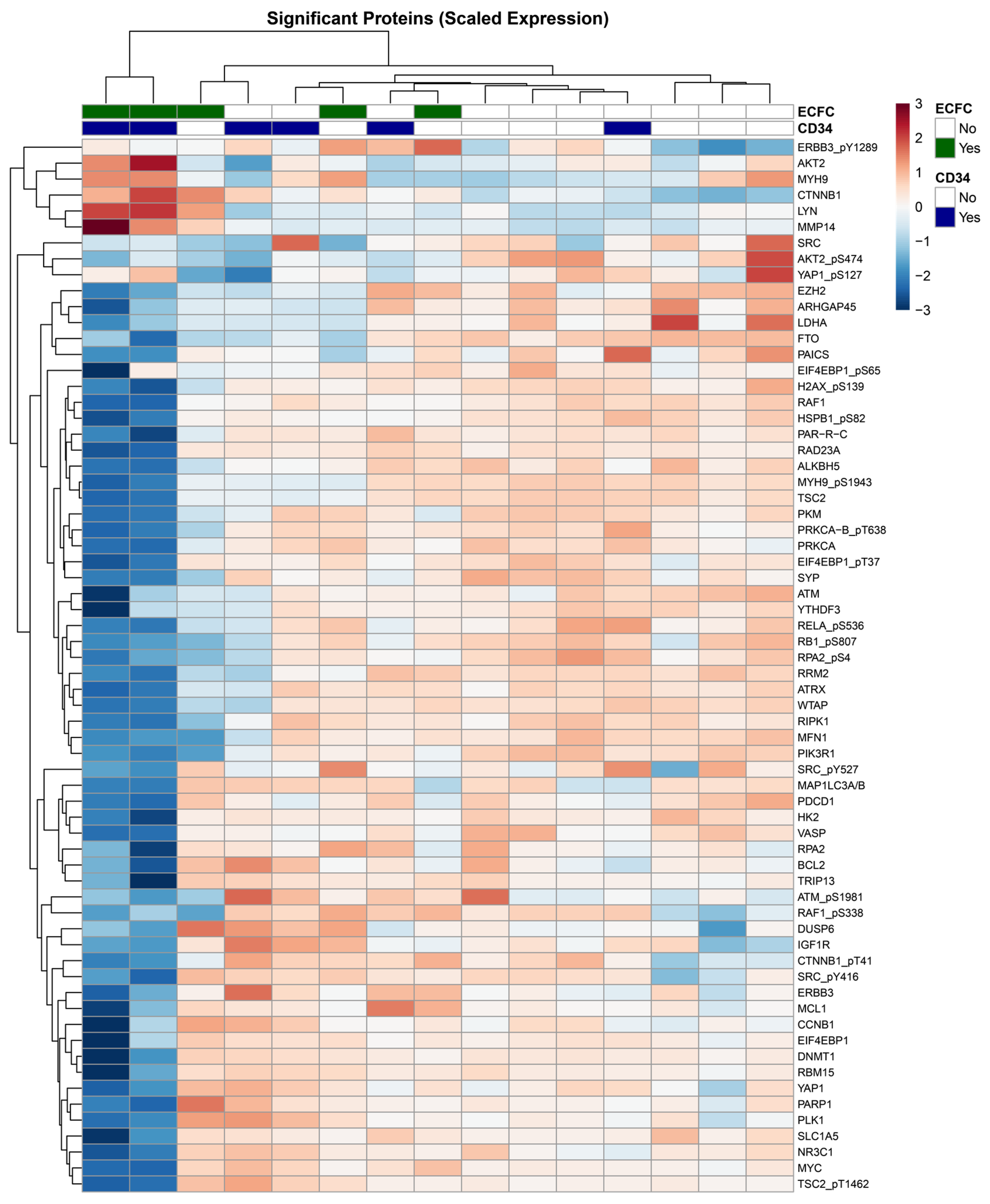 Cells 14 01352 g005 Cells 14 01352 g005