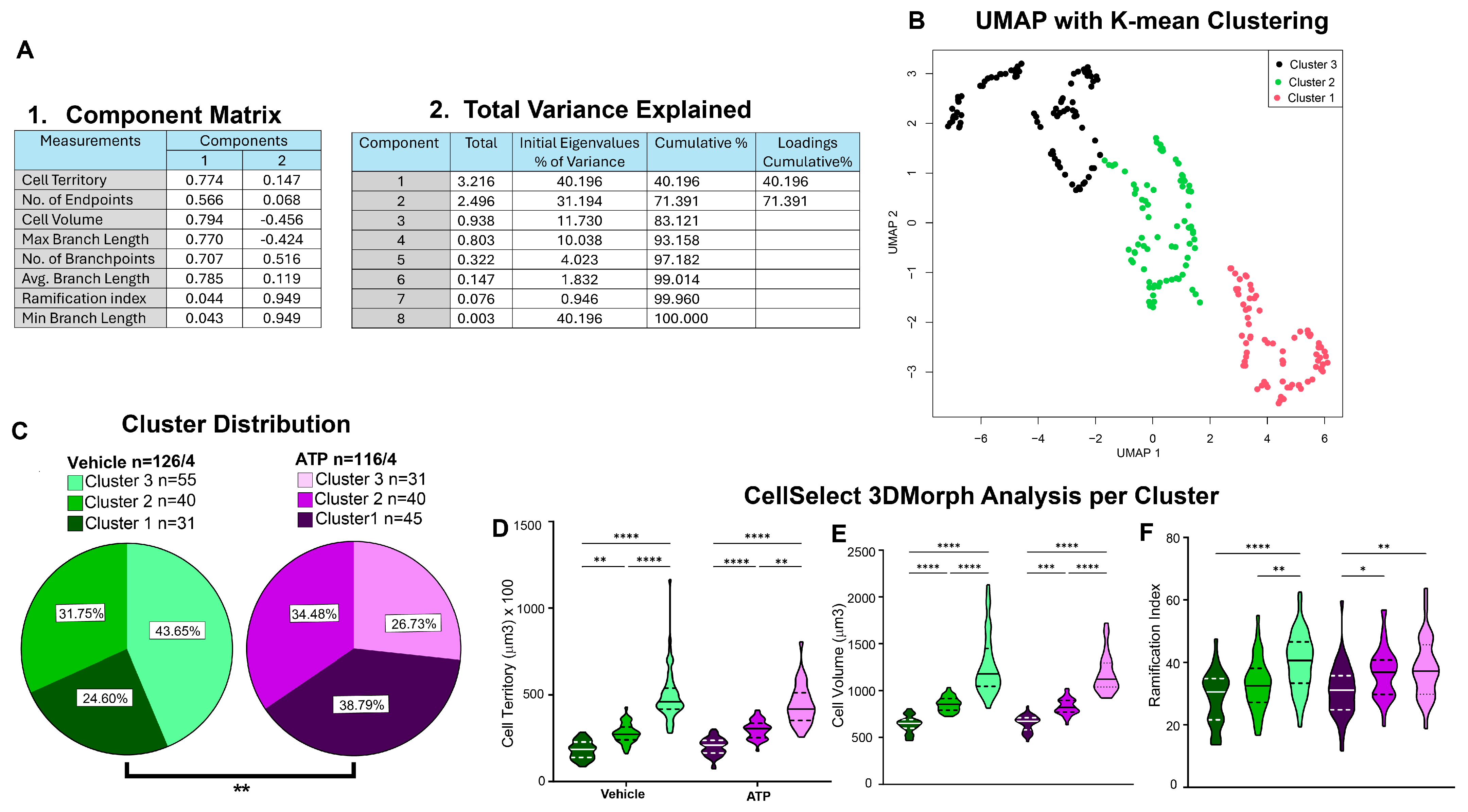 Cells 14 01354 g005 Cells 14 01354 g005