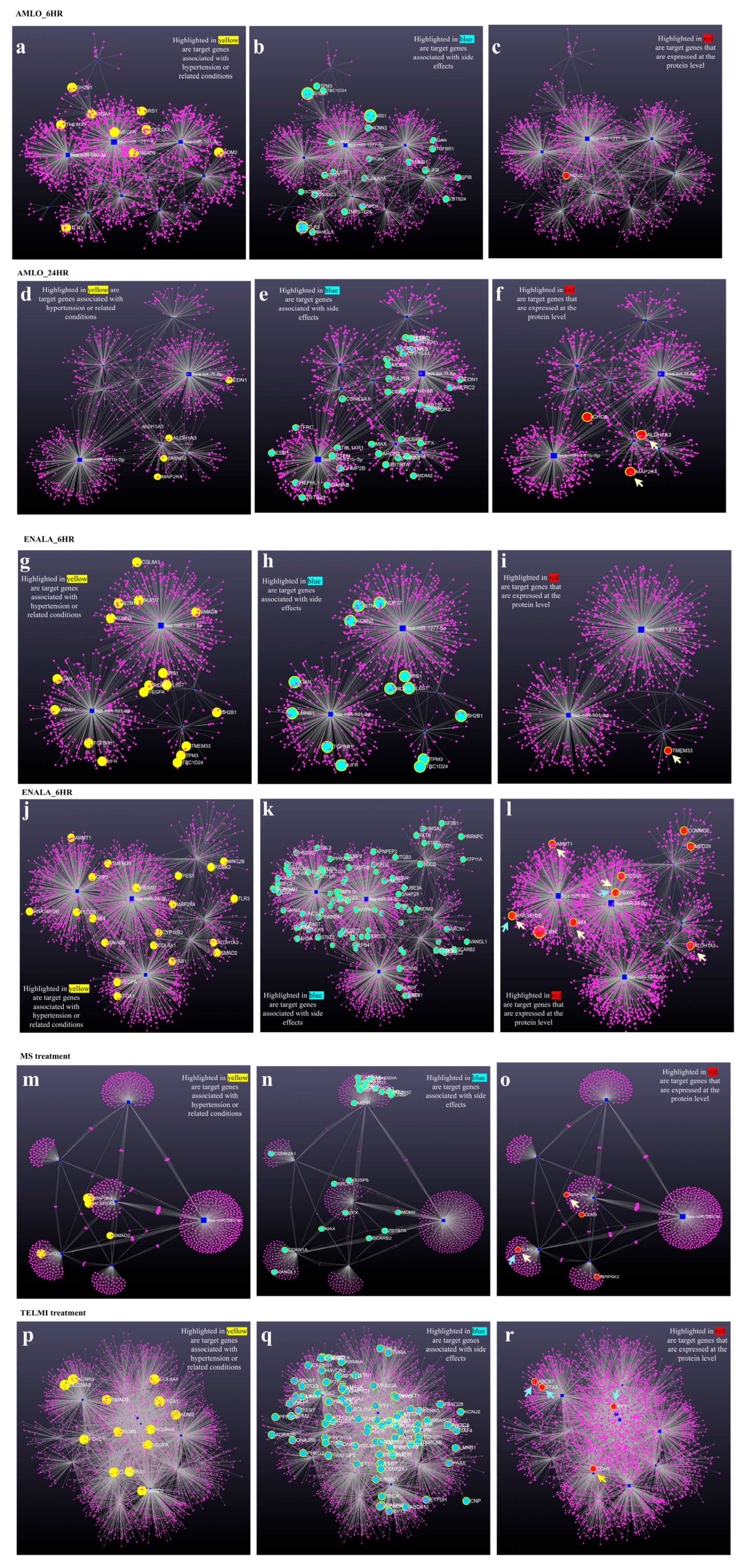 Cells 14 01359 g005 Cells 14 01359 g005