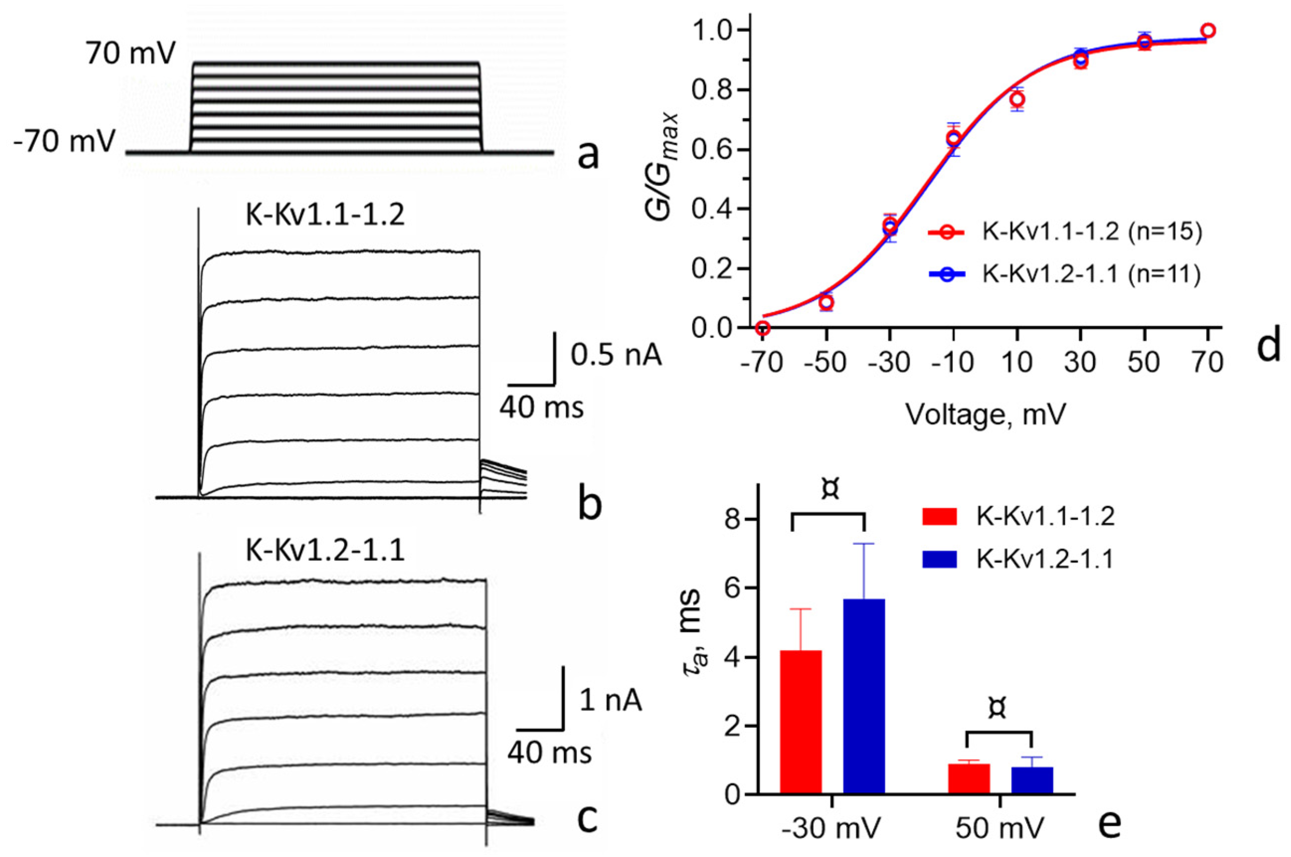 Cells 14 01364 g003 Cells 14 01364 g003