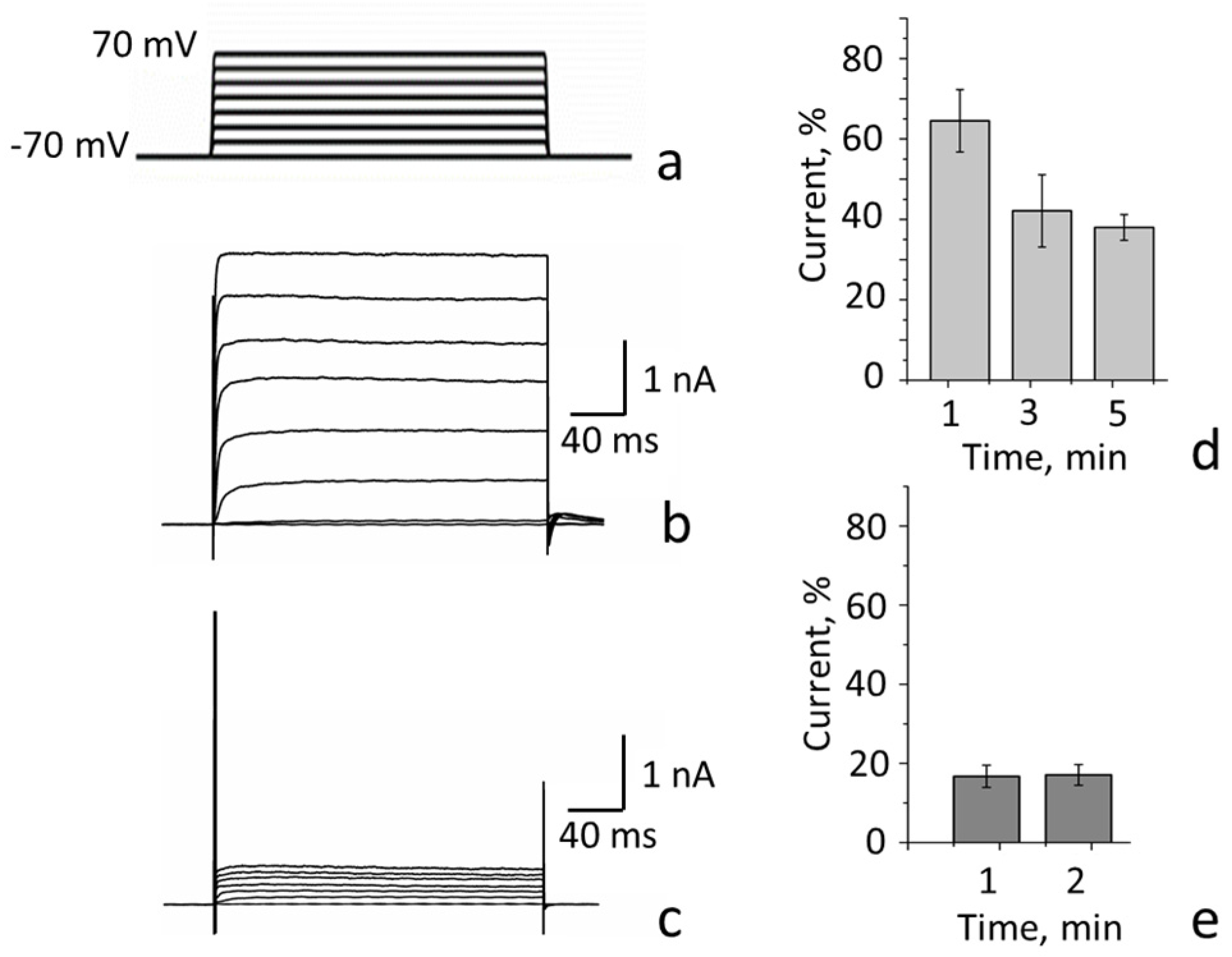 Cells 14 01364 g005 Cells 14 01364 g005