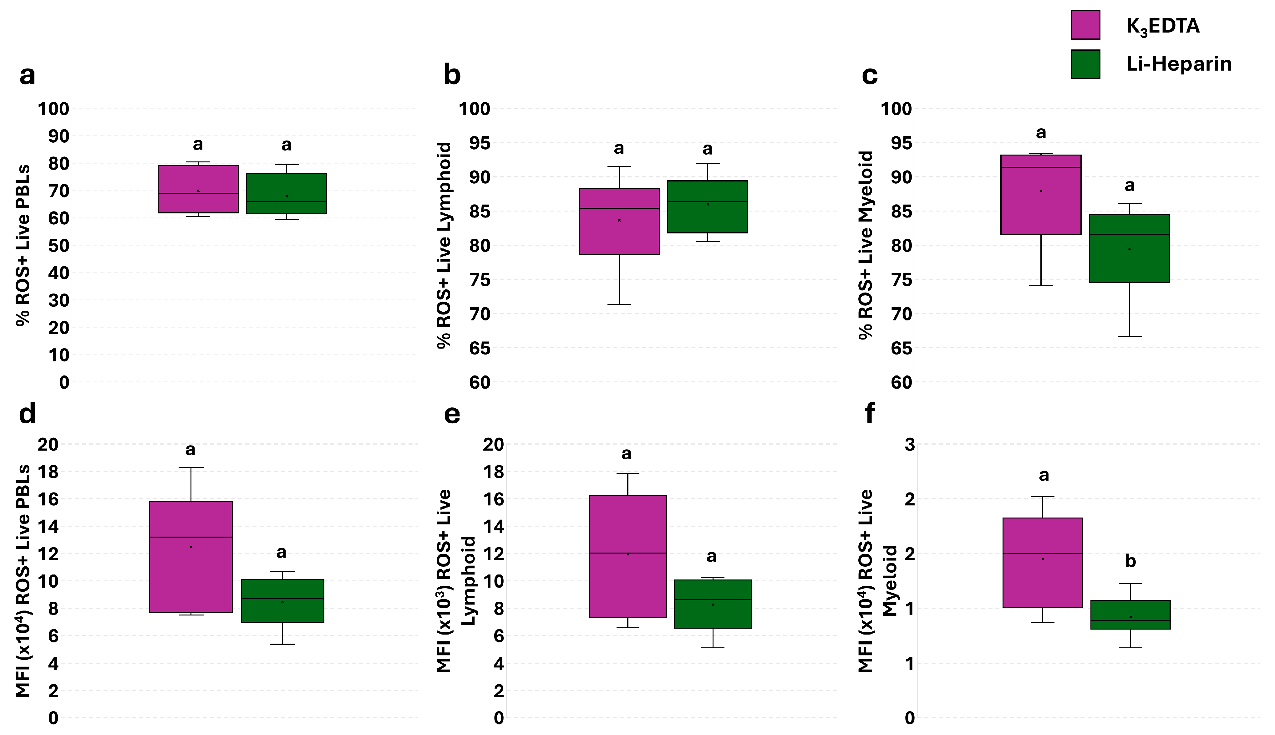 Cells 14 01372 g004 Cells 14 01372 g004