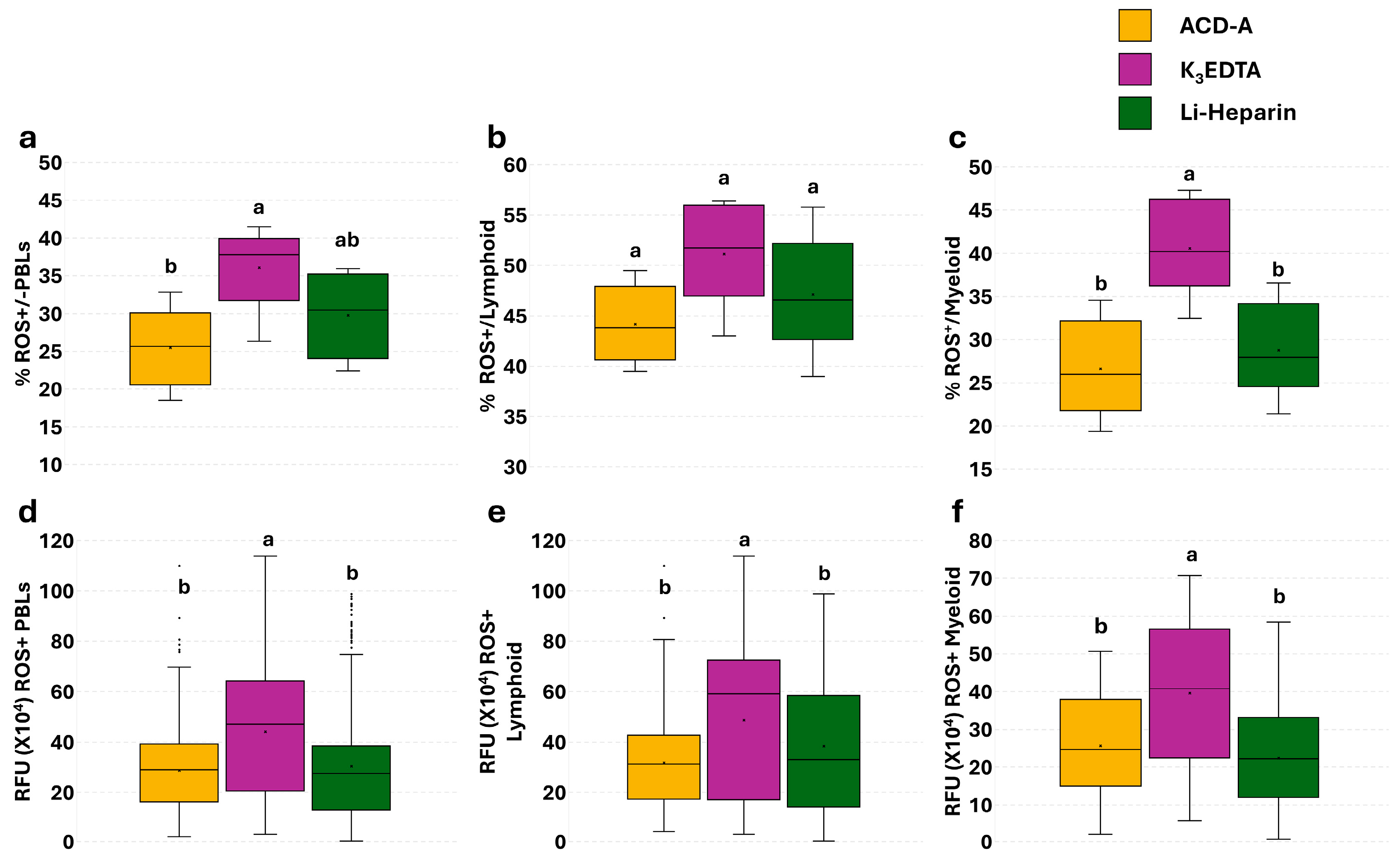 Cells 14 01372 g005 Cells 14 01372 g005