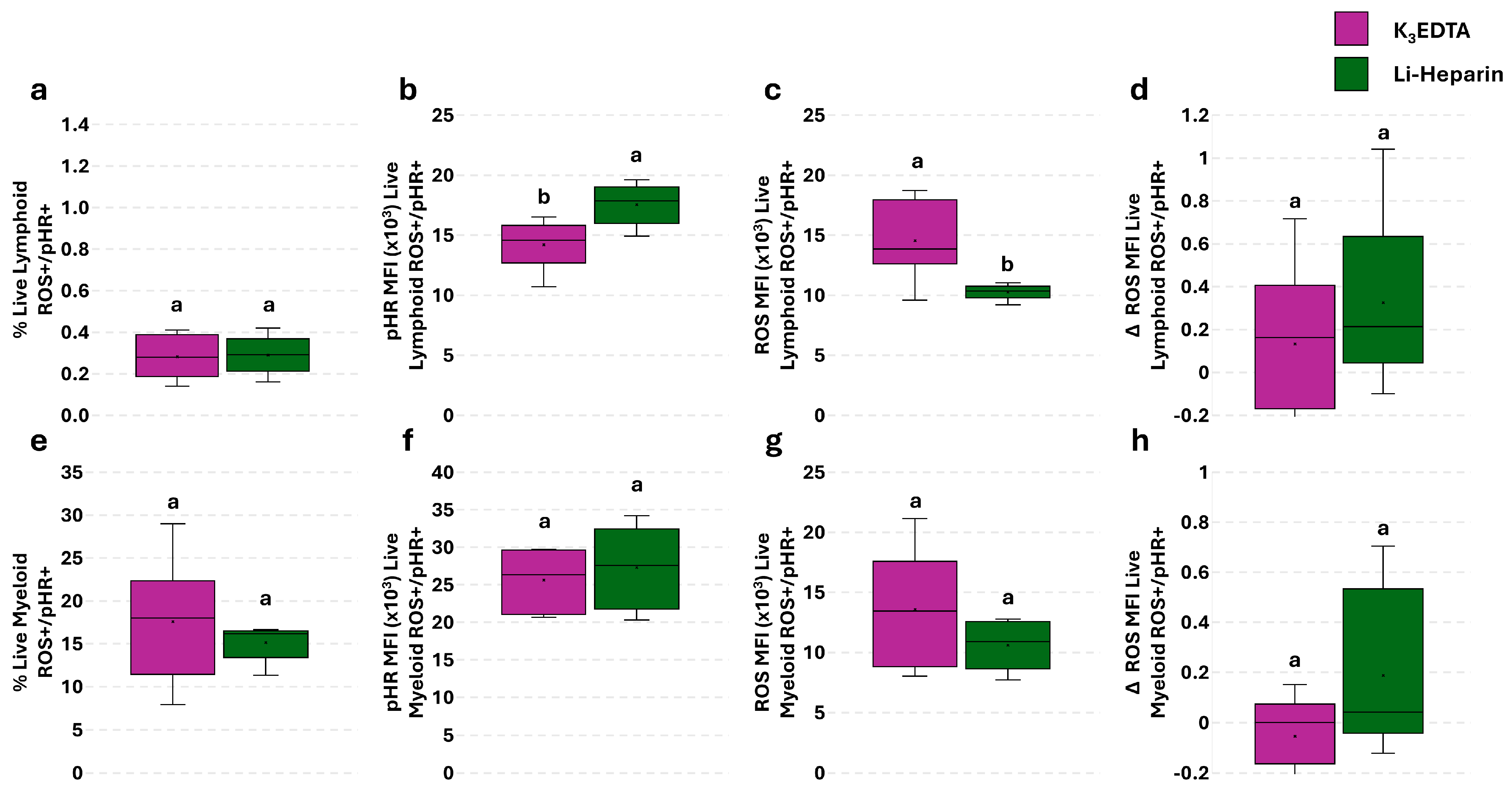 Cells 14 01372 g007 Cells 14 01372 g007
