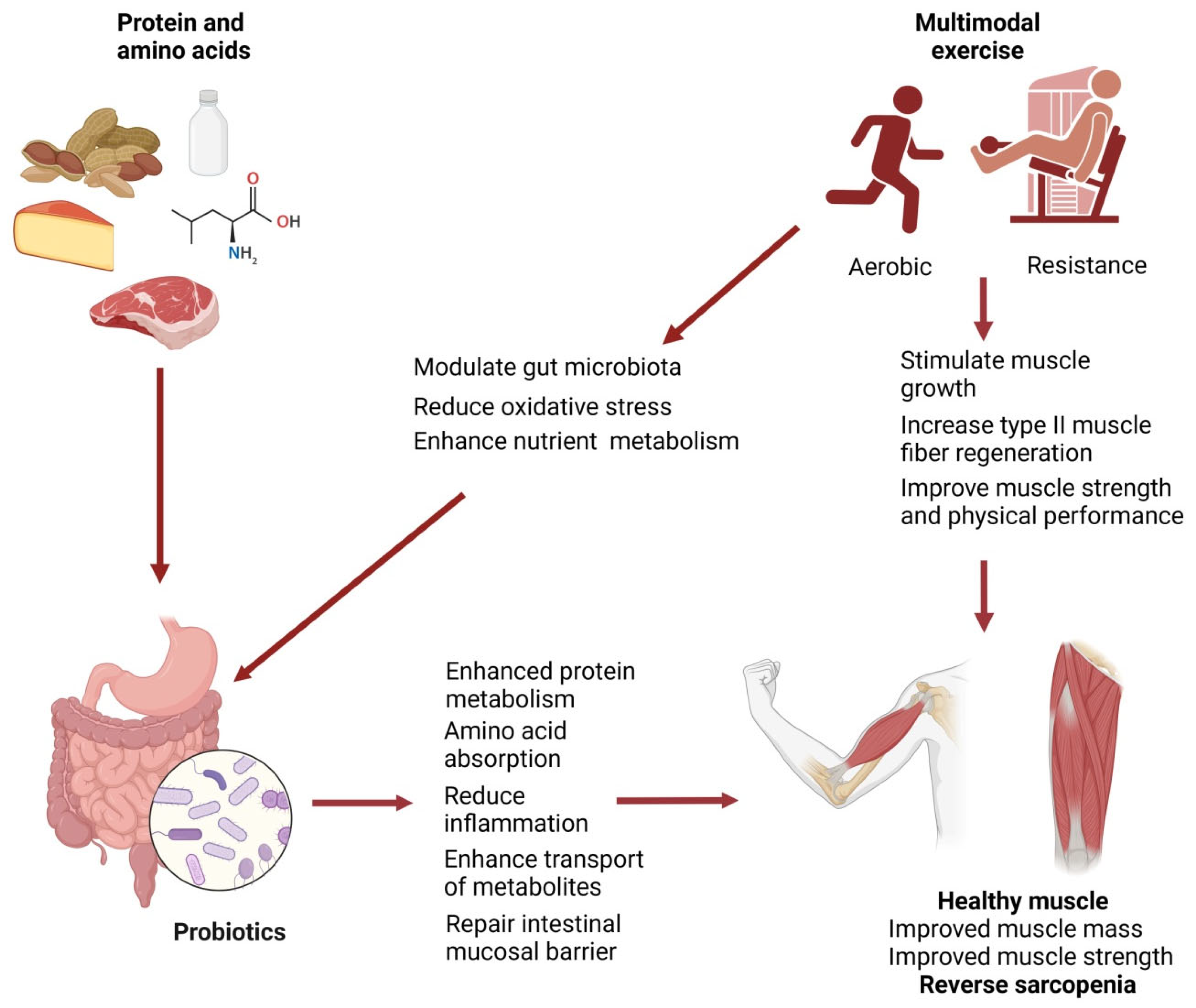Cells 14 01375 g003 Cells 14 01375 g003