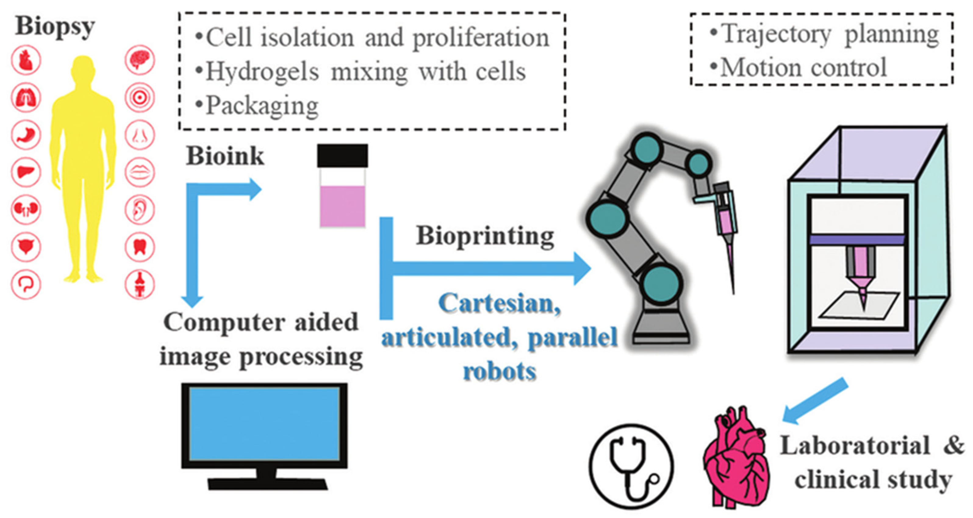 Cells 14 01382 g003 Cells 14 01382 g003