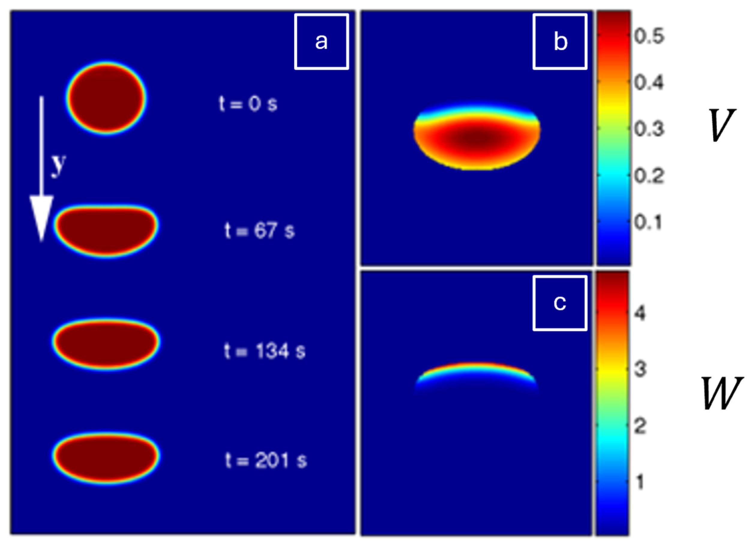 Cells 14 01382 g009 Cells 14 01382 g009