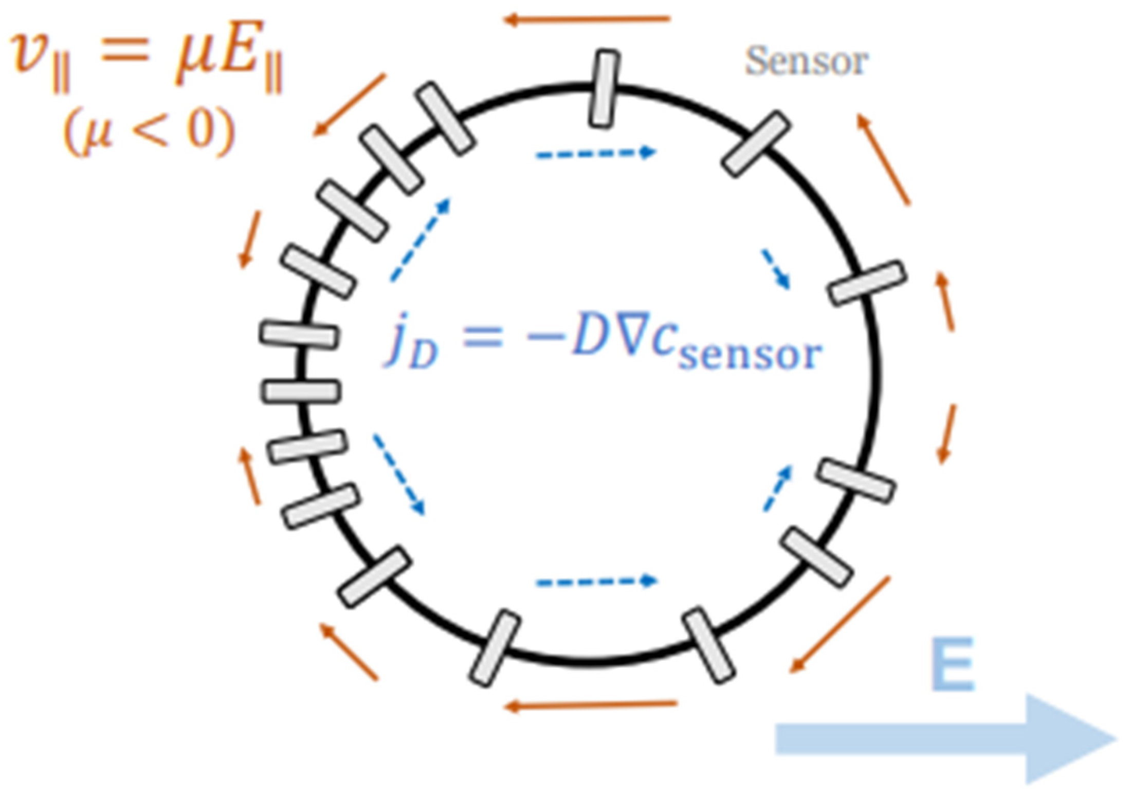 Cells 14 01382 g011 Cells 14 01382 g011