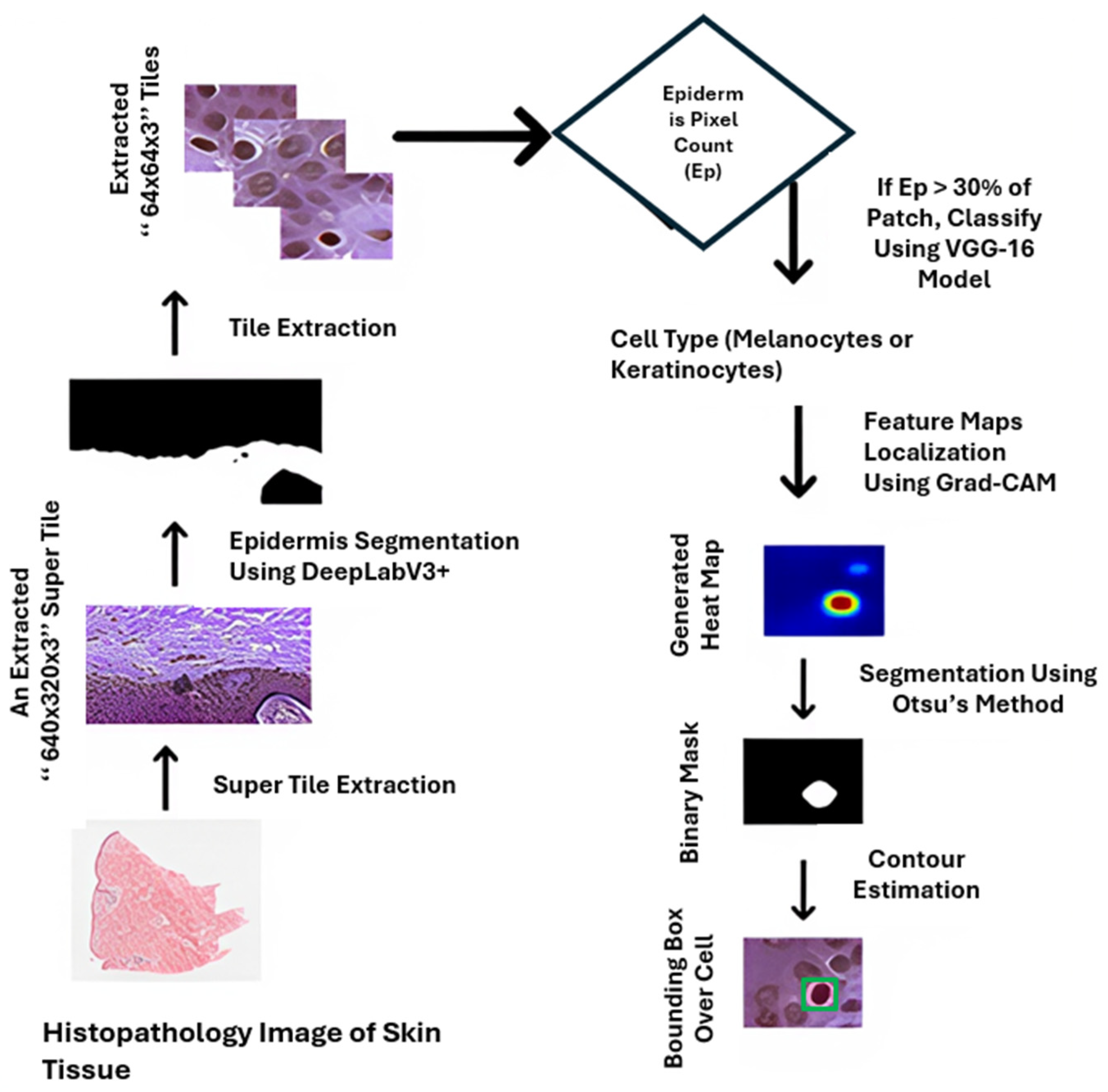 Cells 14 01382 g018 Cells 14 01382 g018